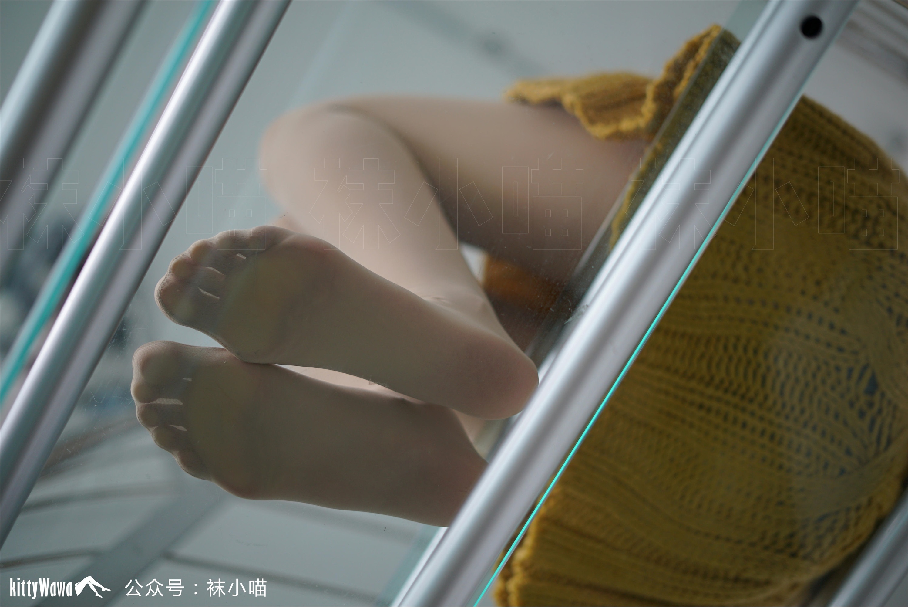 袜小喵  KT072《金色暖阳》