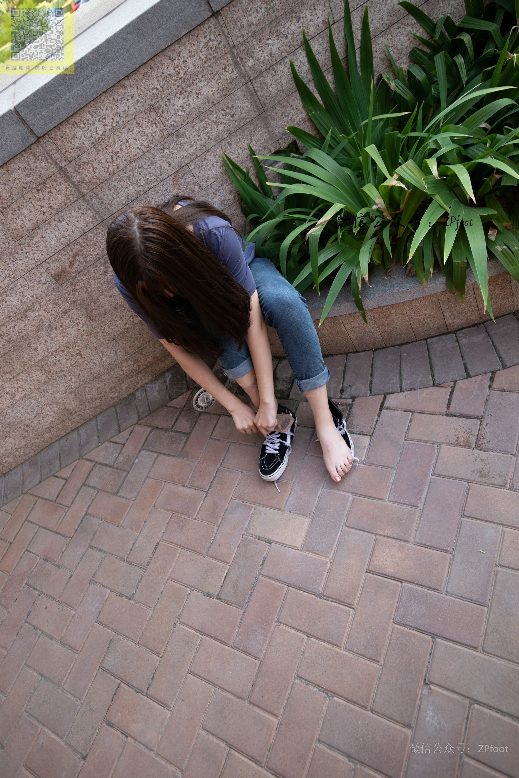 山茶摄影  帆布鞋短丝