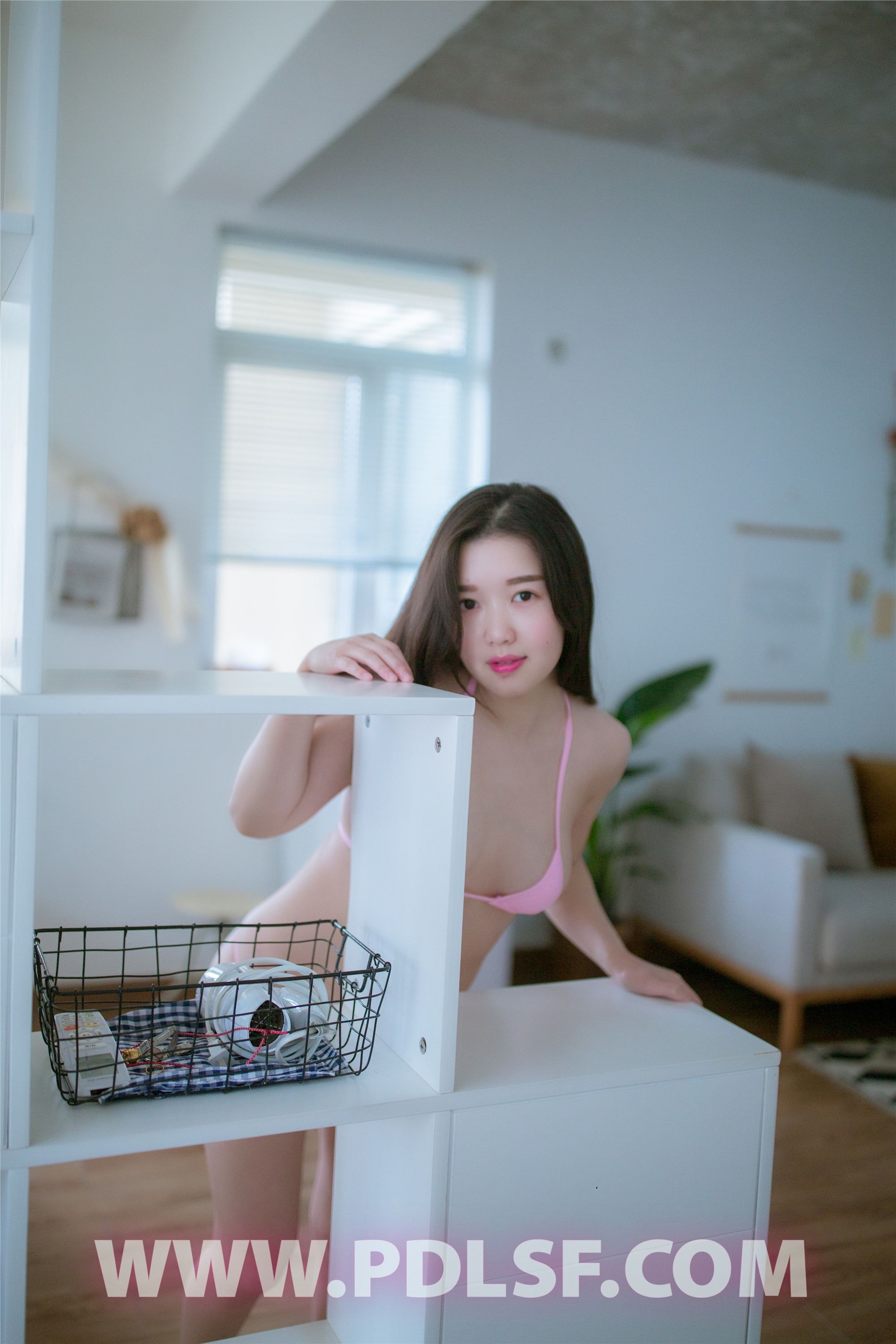 PDL潘多拉  2019.07.06 No.424