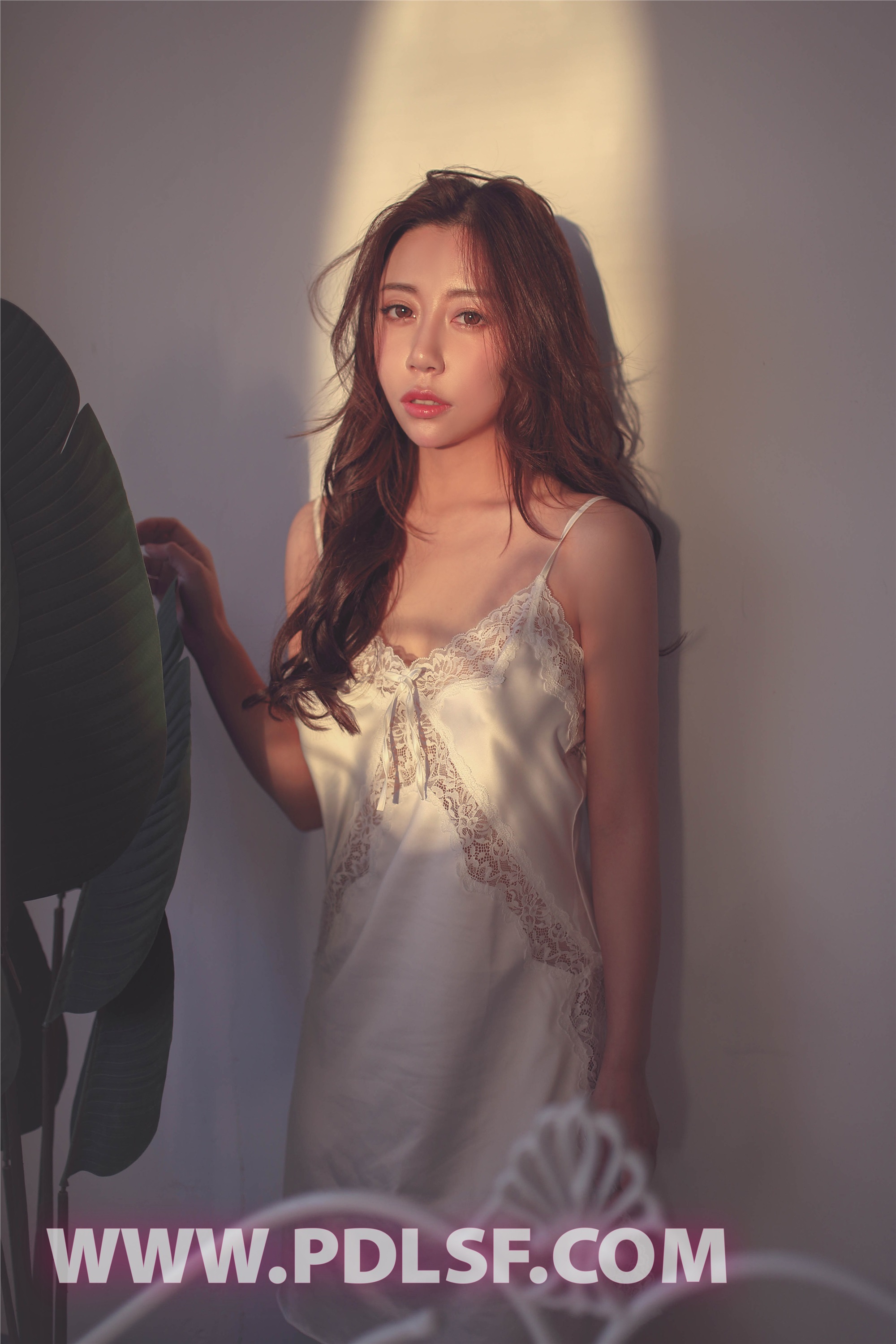 PDL潘多拉  2019.07.10 No.426