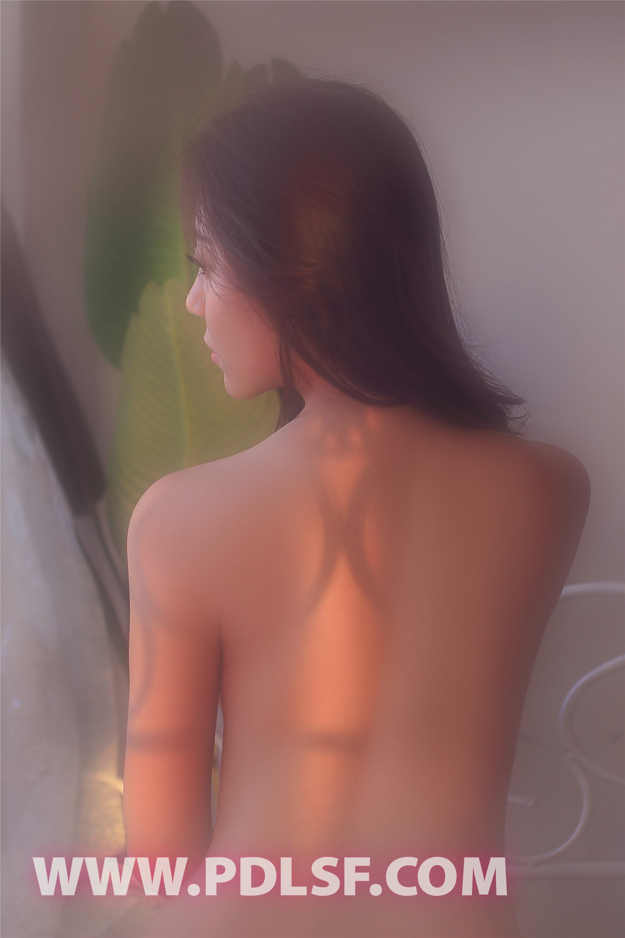 PDL潘多拉  2019.07.10 No.426