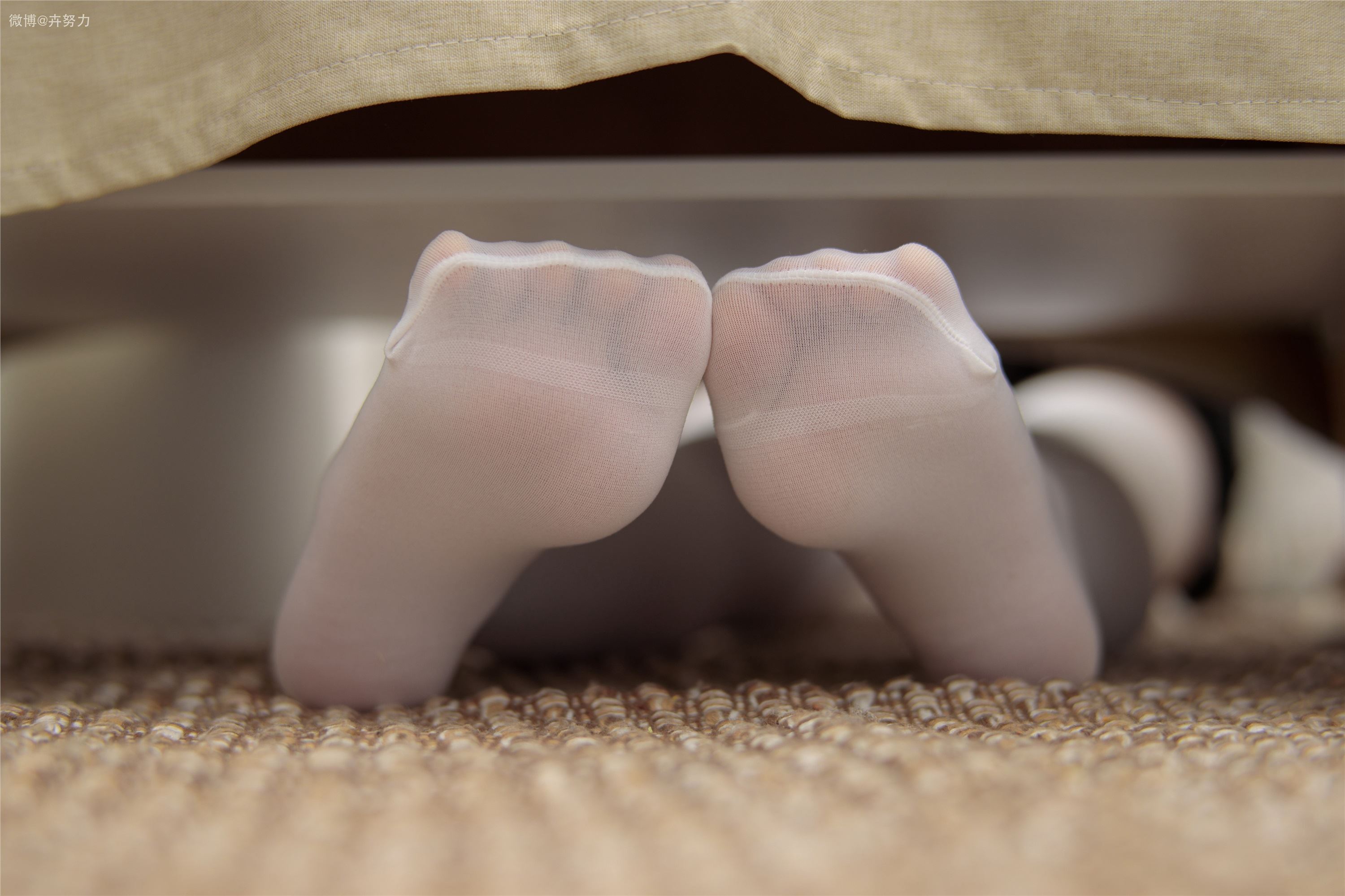 森萝财团 JKFUN-056 80D白色过膝袜 卉子