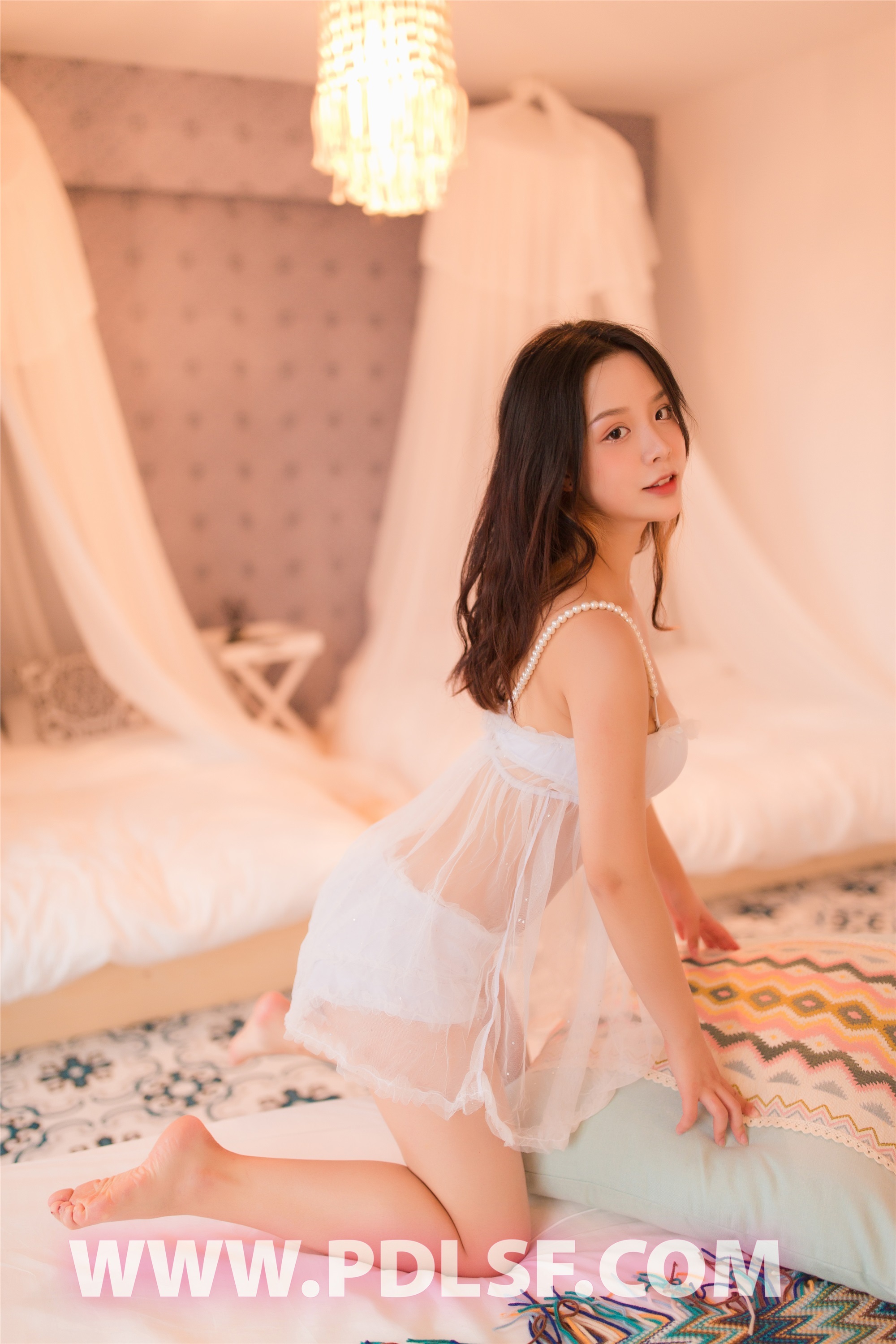 PDL潘多拉  2019.07.14 No.428