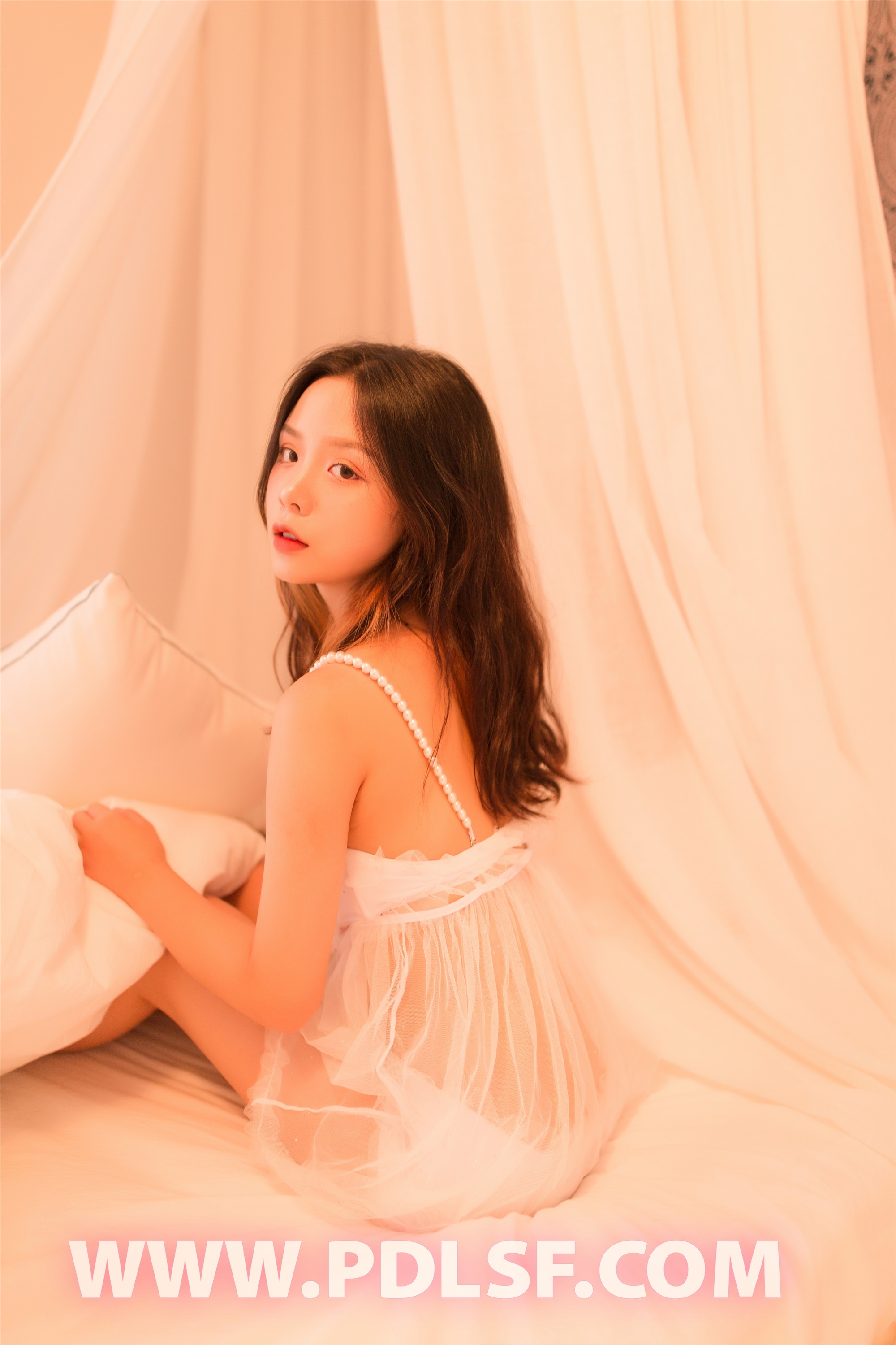 PDL潘多拉  2019.07.14 No.428