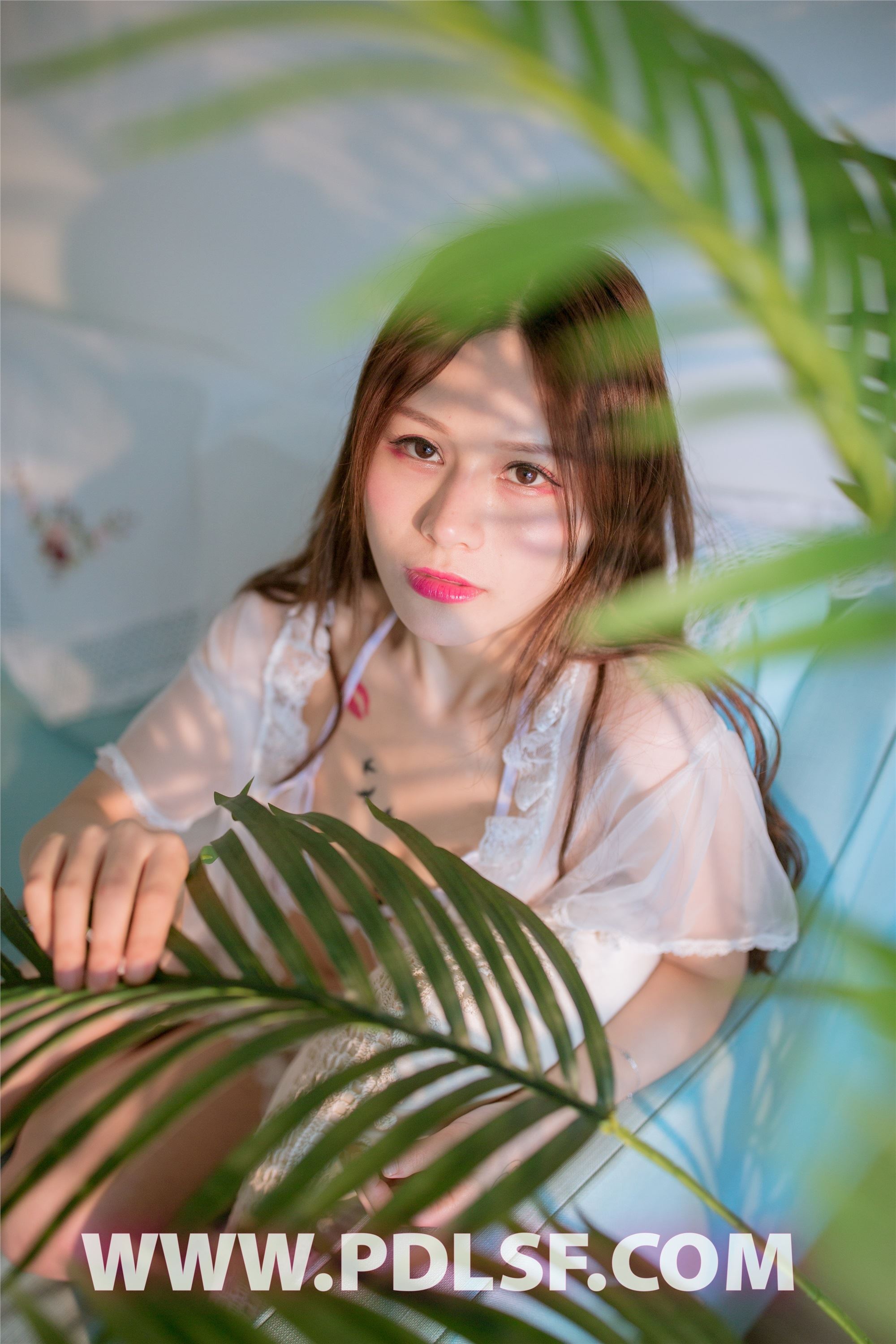 PDL潘多拉  2019.07.21 No.431