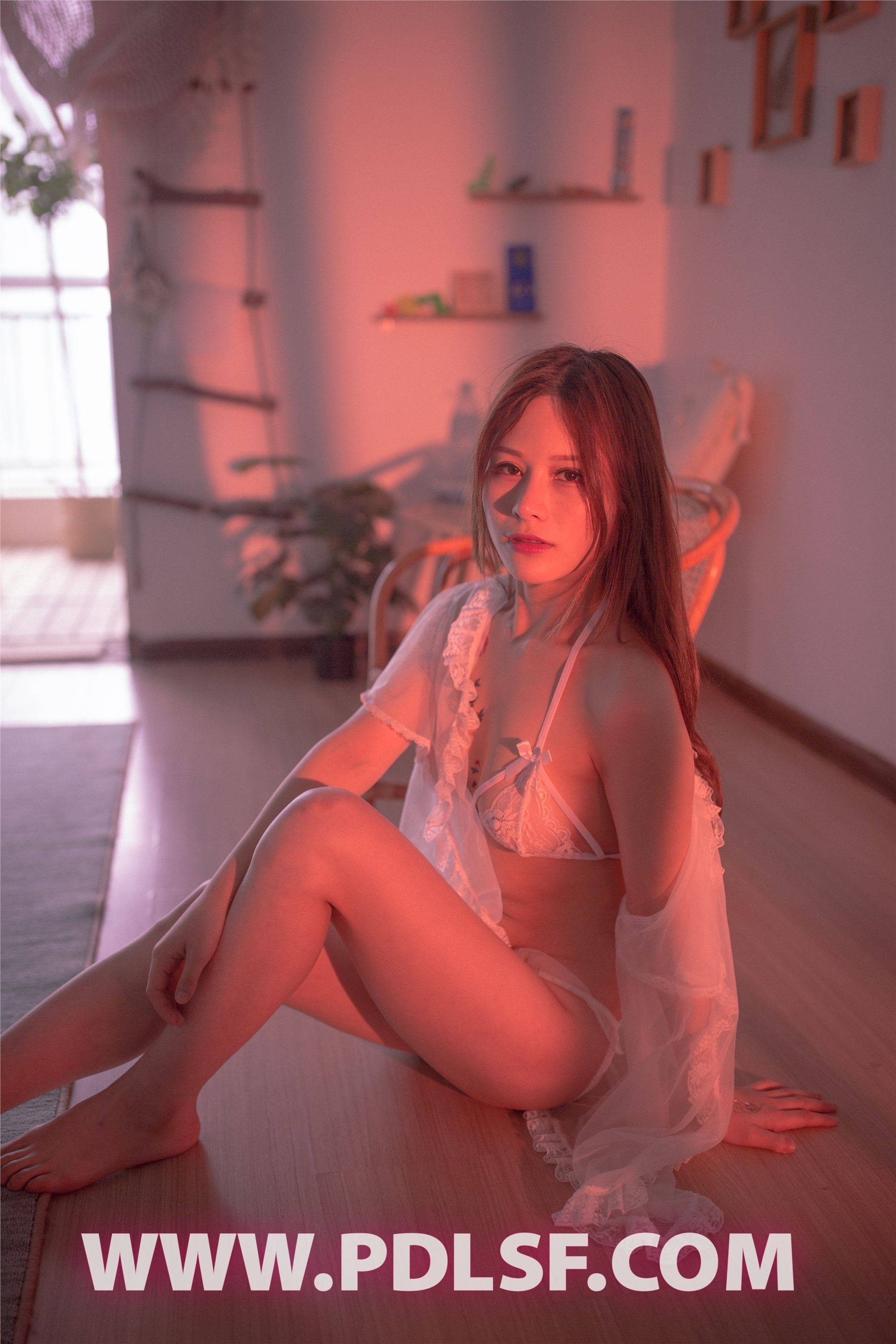 PDL潘多拉  2019.07.21 No.431