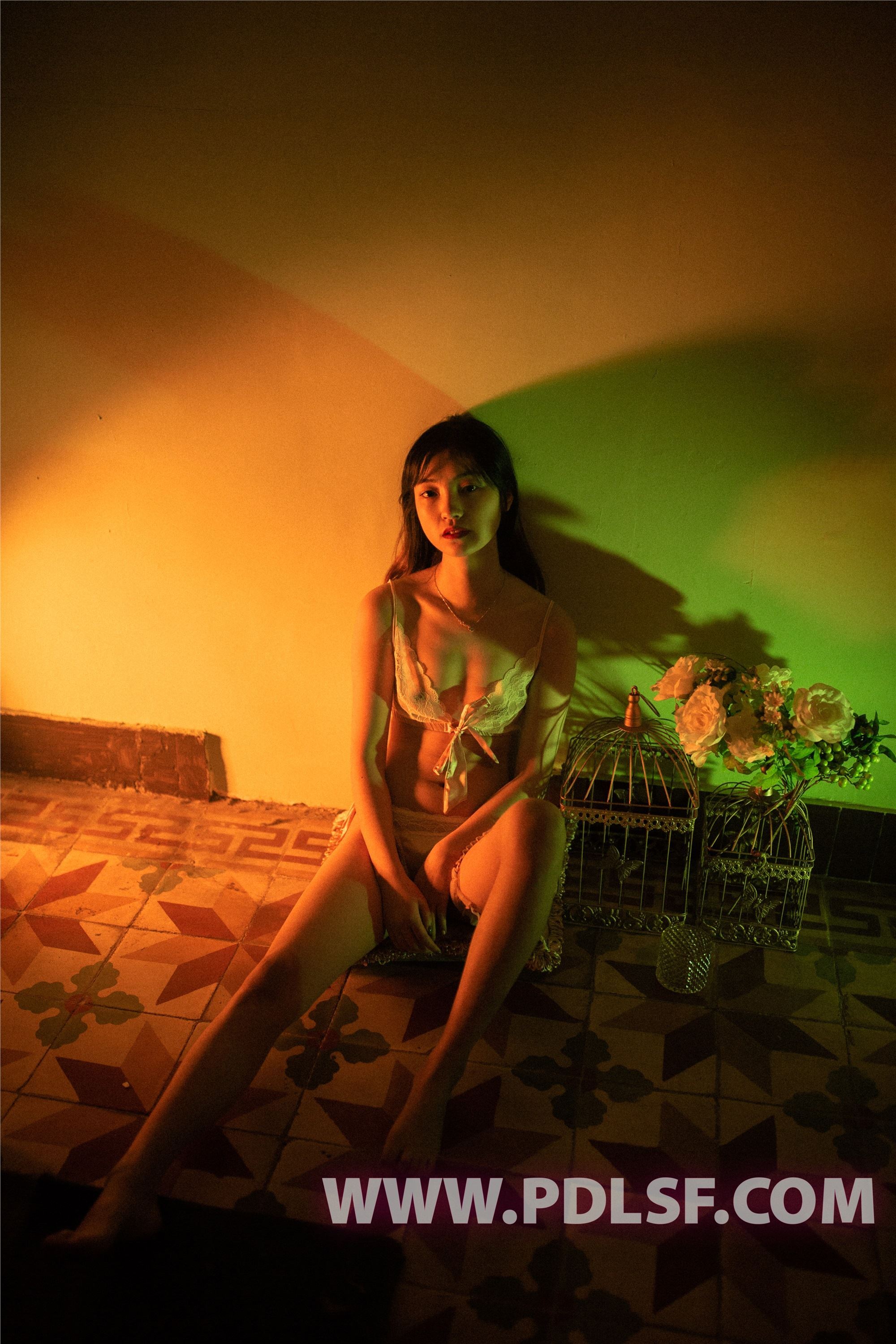 PDL潘多拉  2019.07.31 No.433