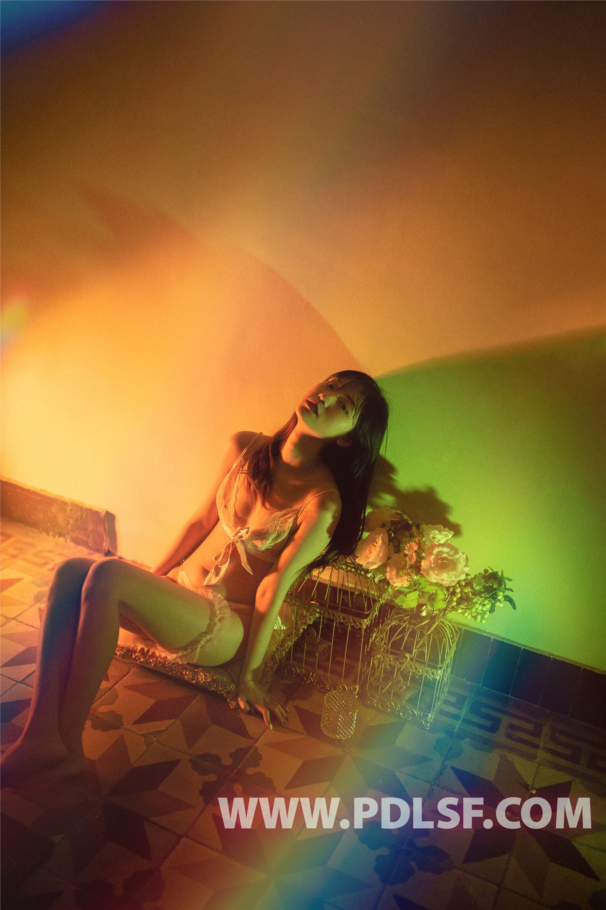 PDL潘多拉  2019.07.31 No.433