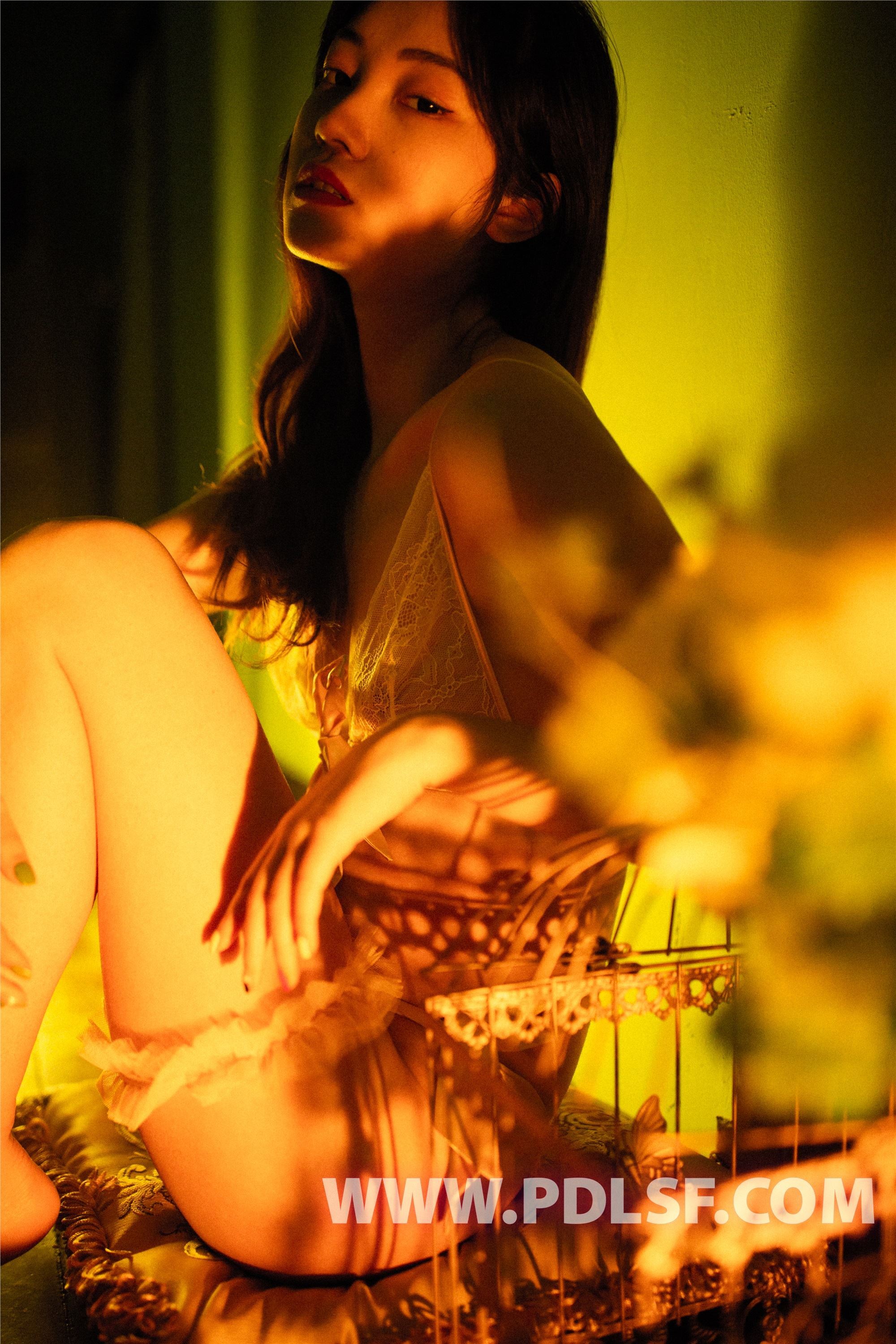 PDL潘多拉  2019.07.31 No.433