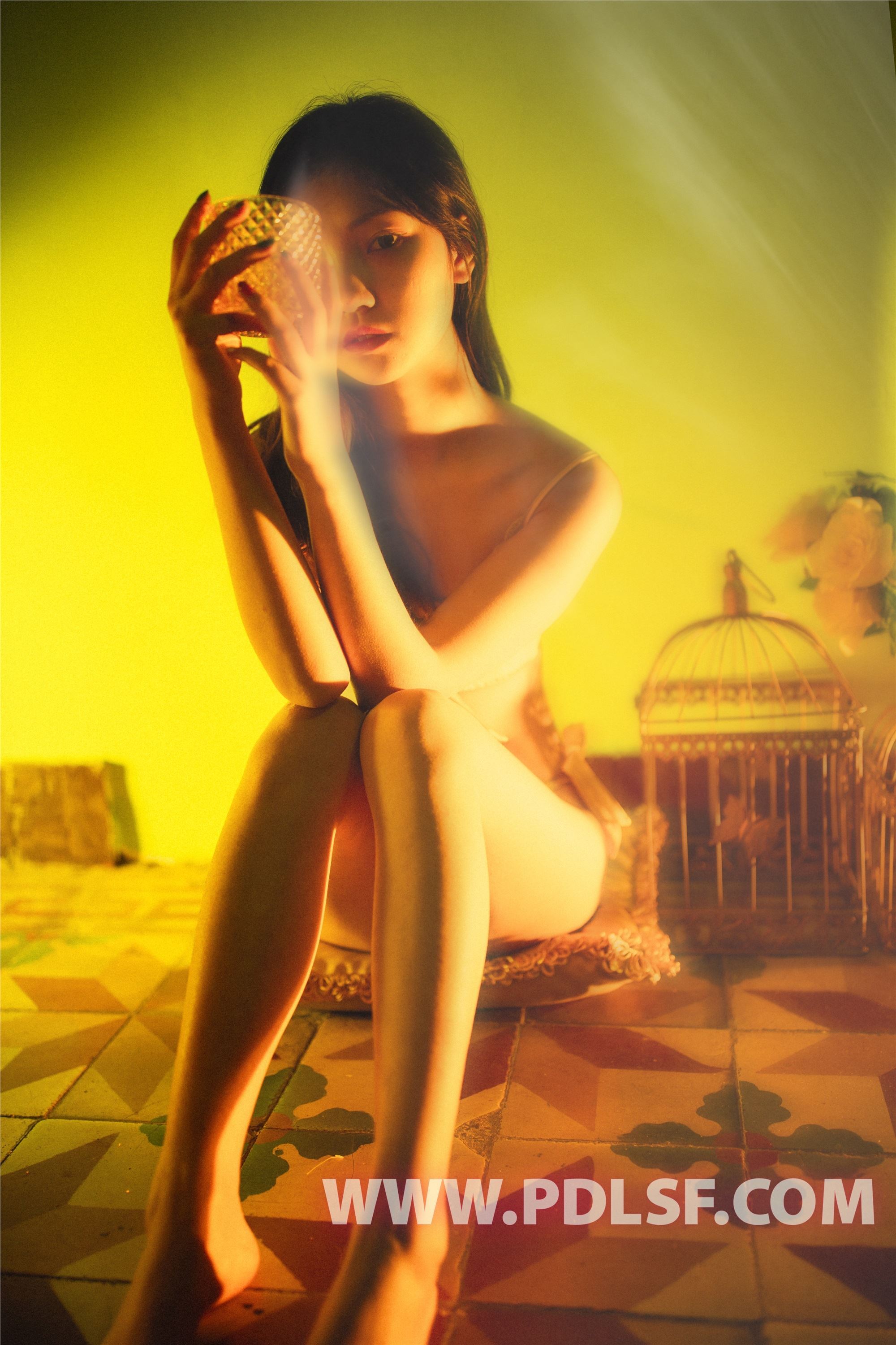 PDL潘多拉  2019.07.31 No.433