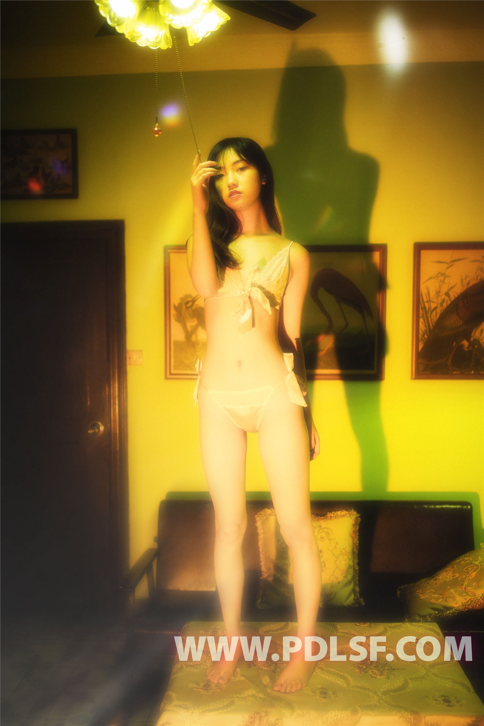 PDL潘多拉  2019.07.31 No.433