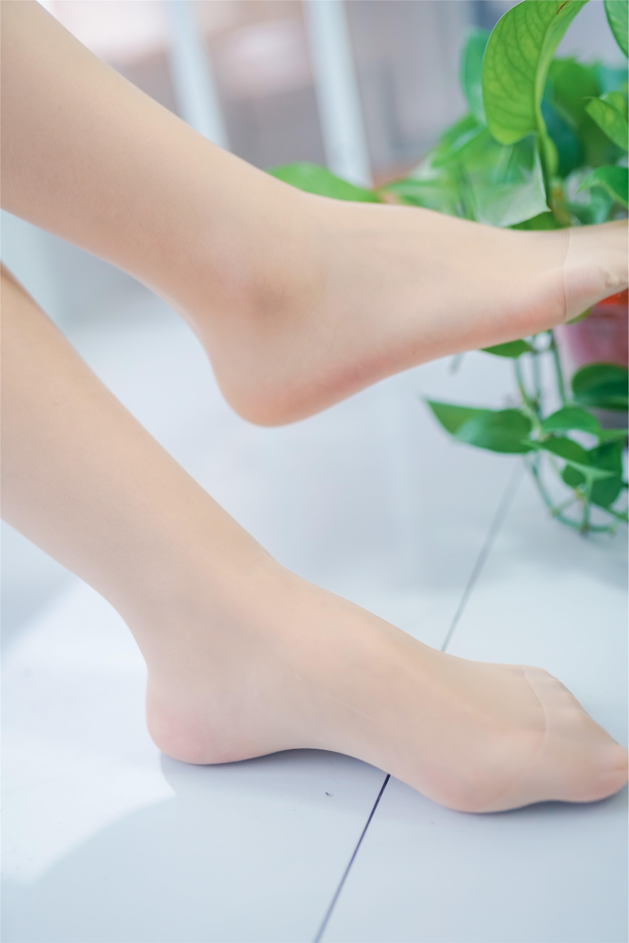 SIEE丝意  No.363 瑶瑶 草木炎凉，岁月柔长