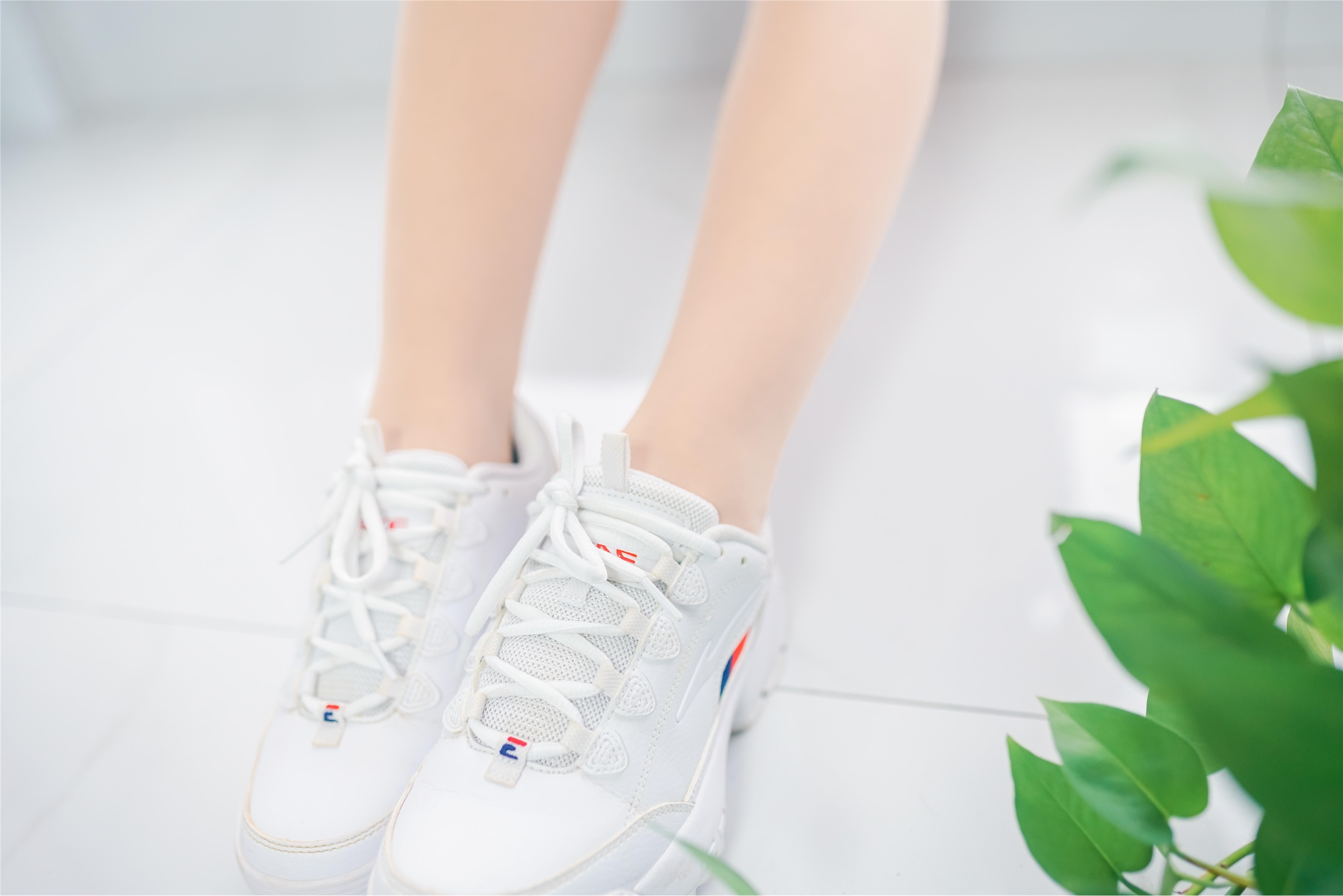 SIEE丝意  No.363 瑶瑶 草木炎凉，岁月柔长