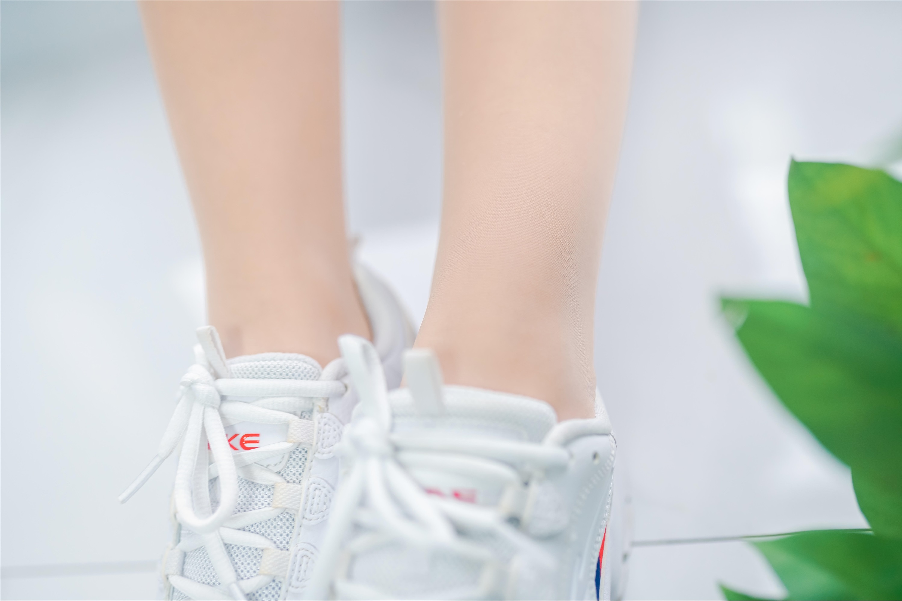 SIEE丝意  No.363 瑶瑶 草木炎凉，岁月柔长