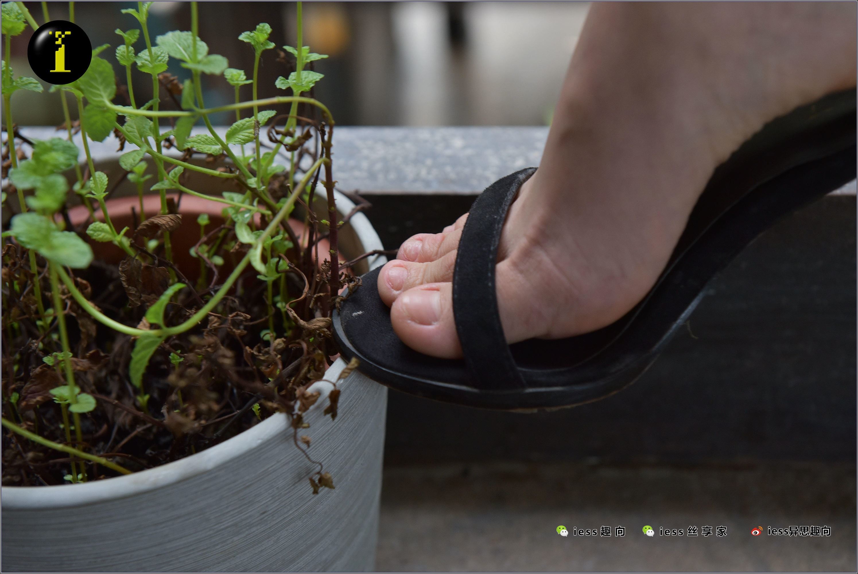 IESS异思趣向  普惠集 003-琪琪的裸足