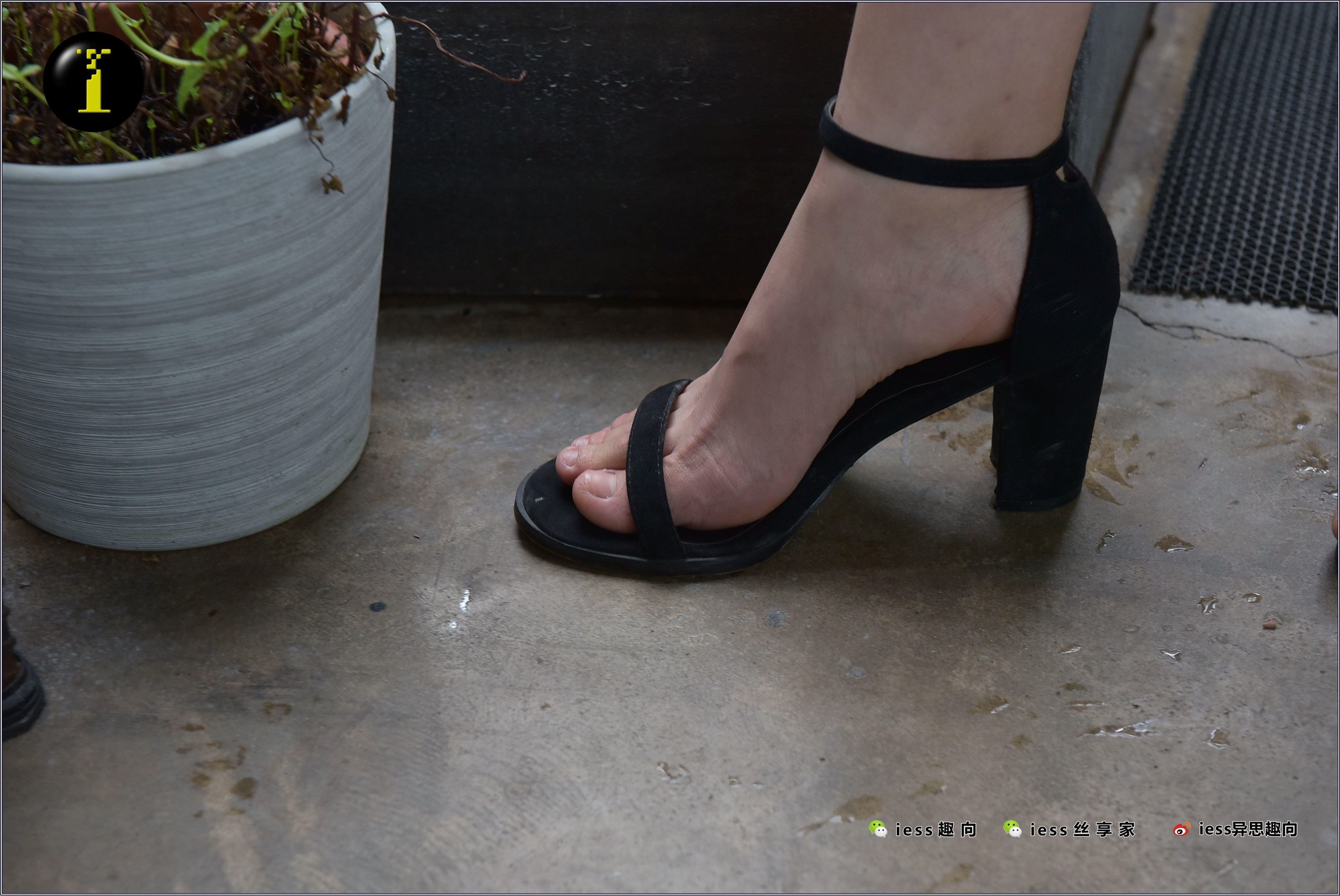 IESS异思趣向  普惠集 003-琪琪的裸足