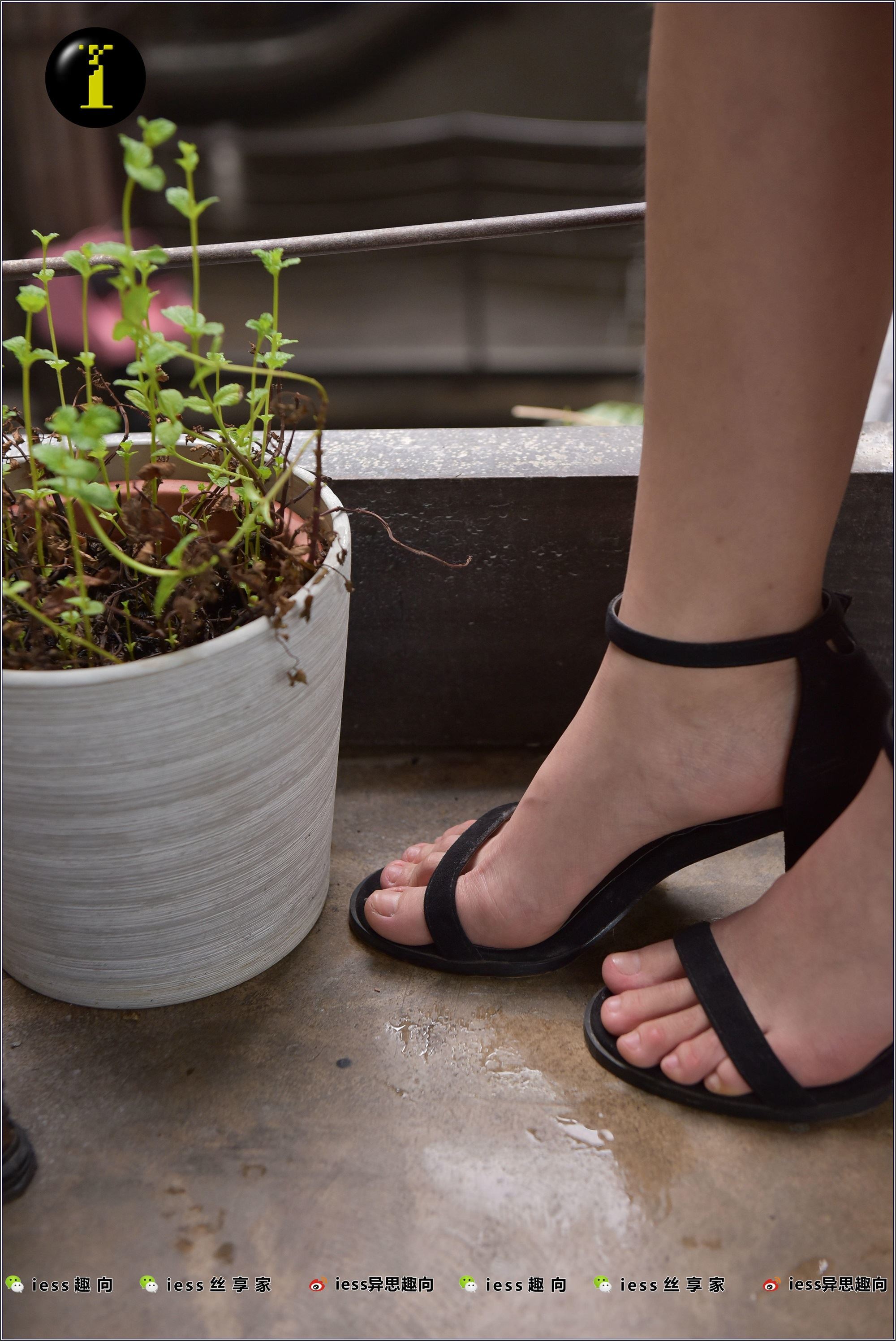 IESS异思趣向  普惠集 003-琪琪的裸足