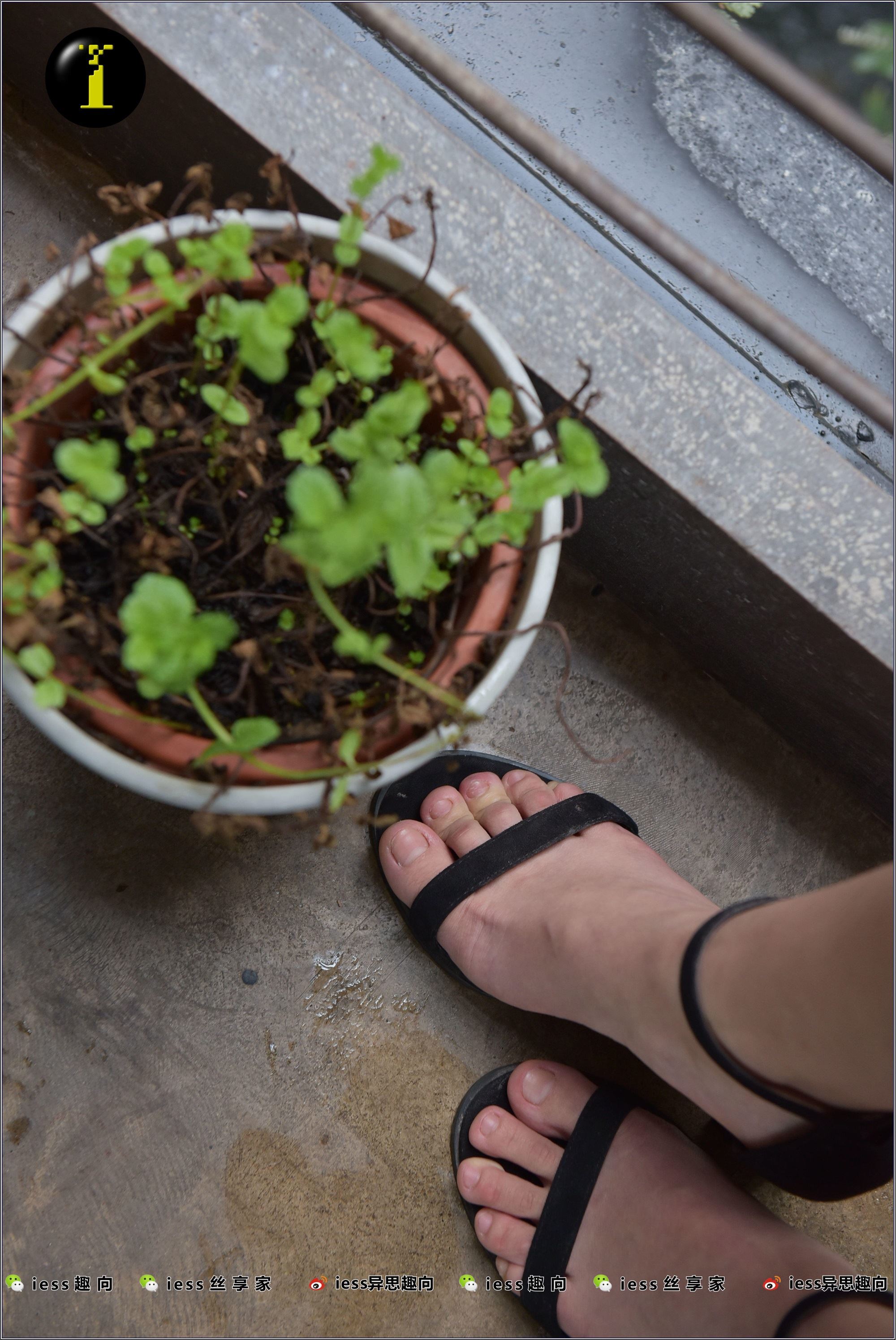 IESS异思趣向  普惠集 003-琪琪的裸足