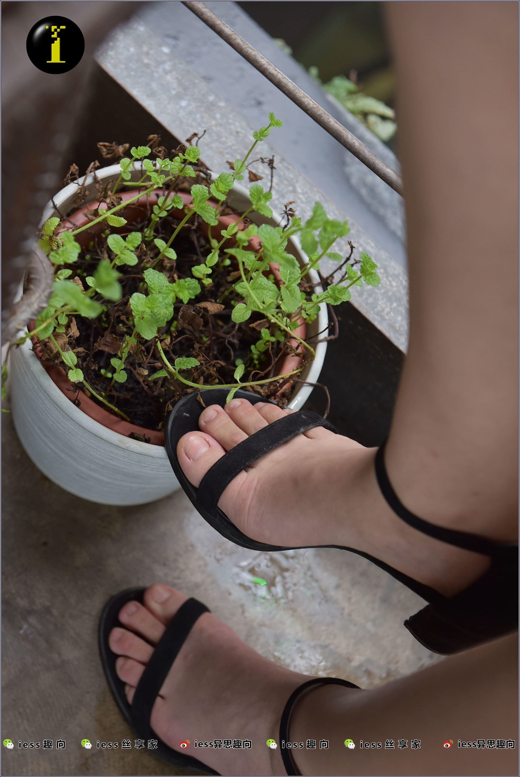 IESS异思趣向  普惠集 003-琪琪的裸足