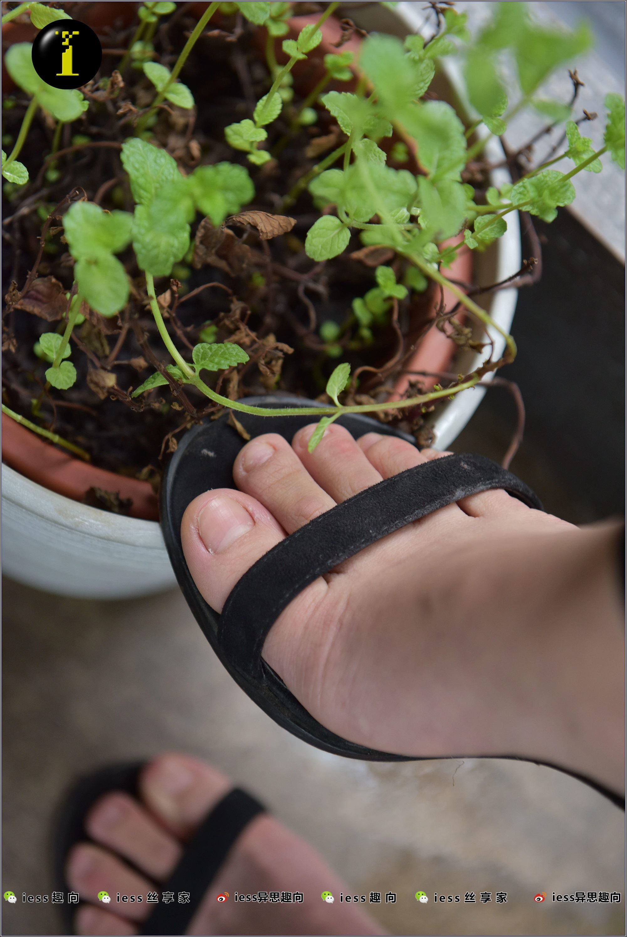 IESS异思趣向  普惠集 003-琪琪的裸足