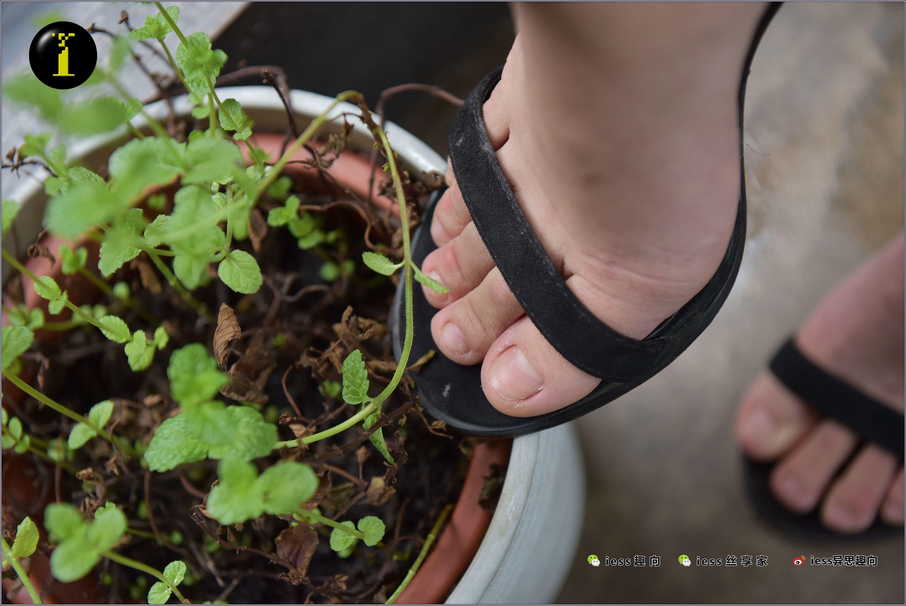 IESS异思趣向  普惠集 003-琪琪的裸足