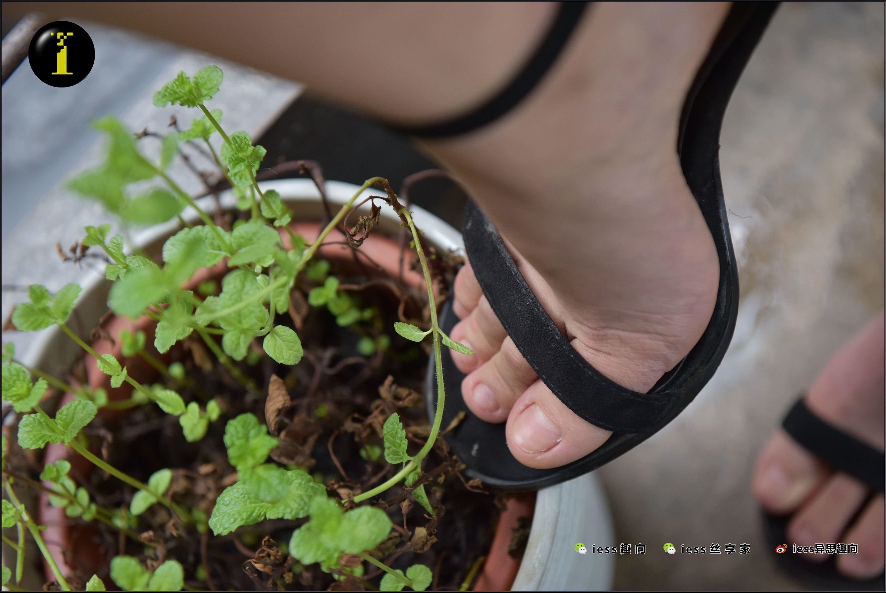 IESS异思趣向  普惠集 003-琪琪的裸足