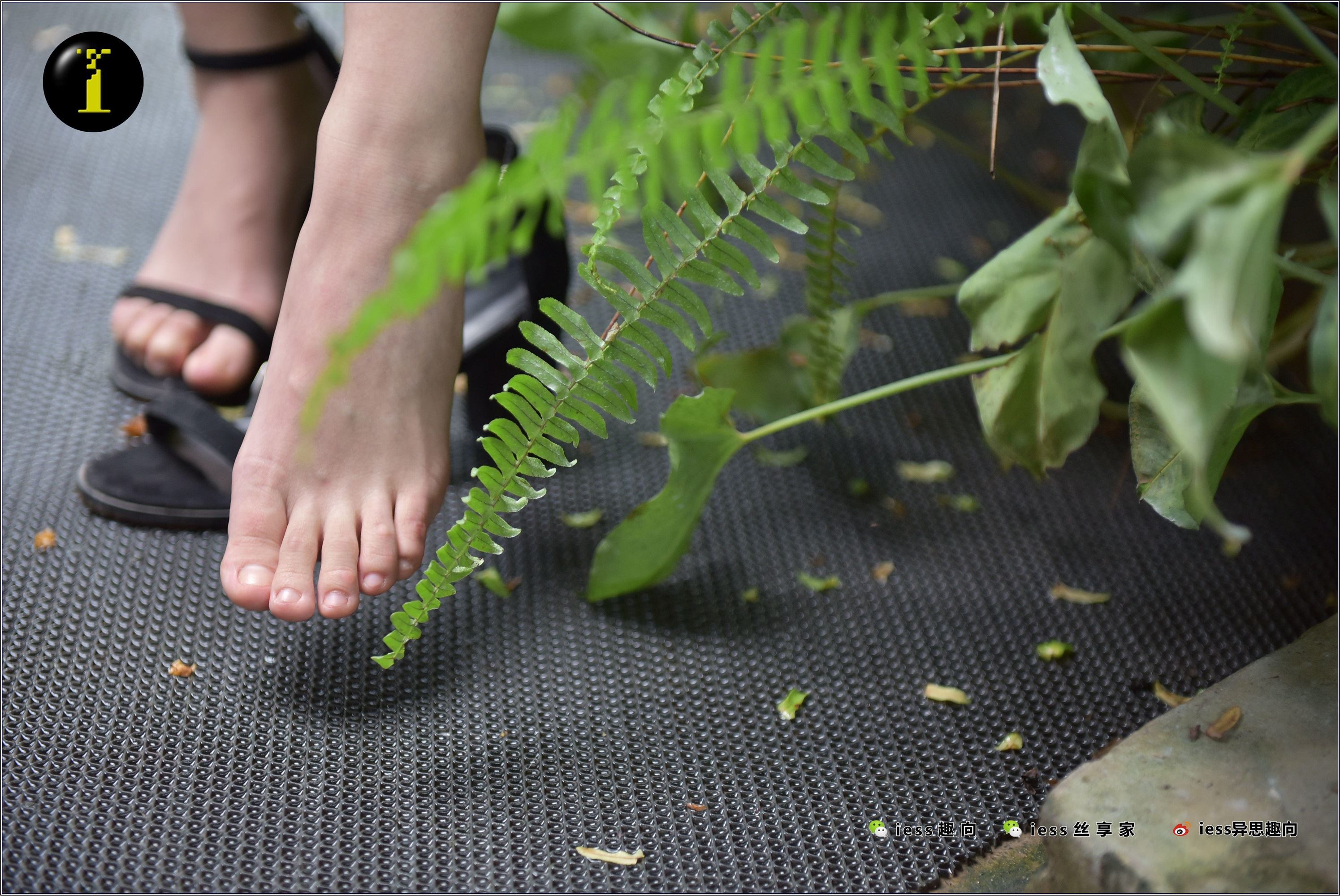 IESS异思趣向  普惠集 003-琪琪的裸足