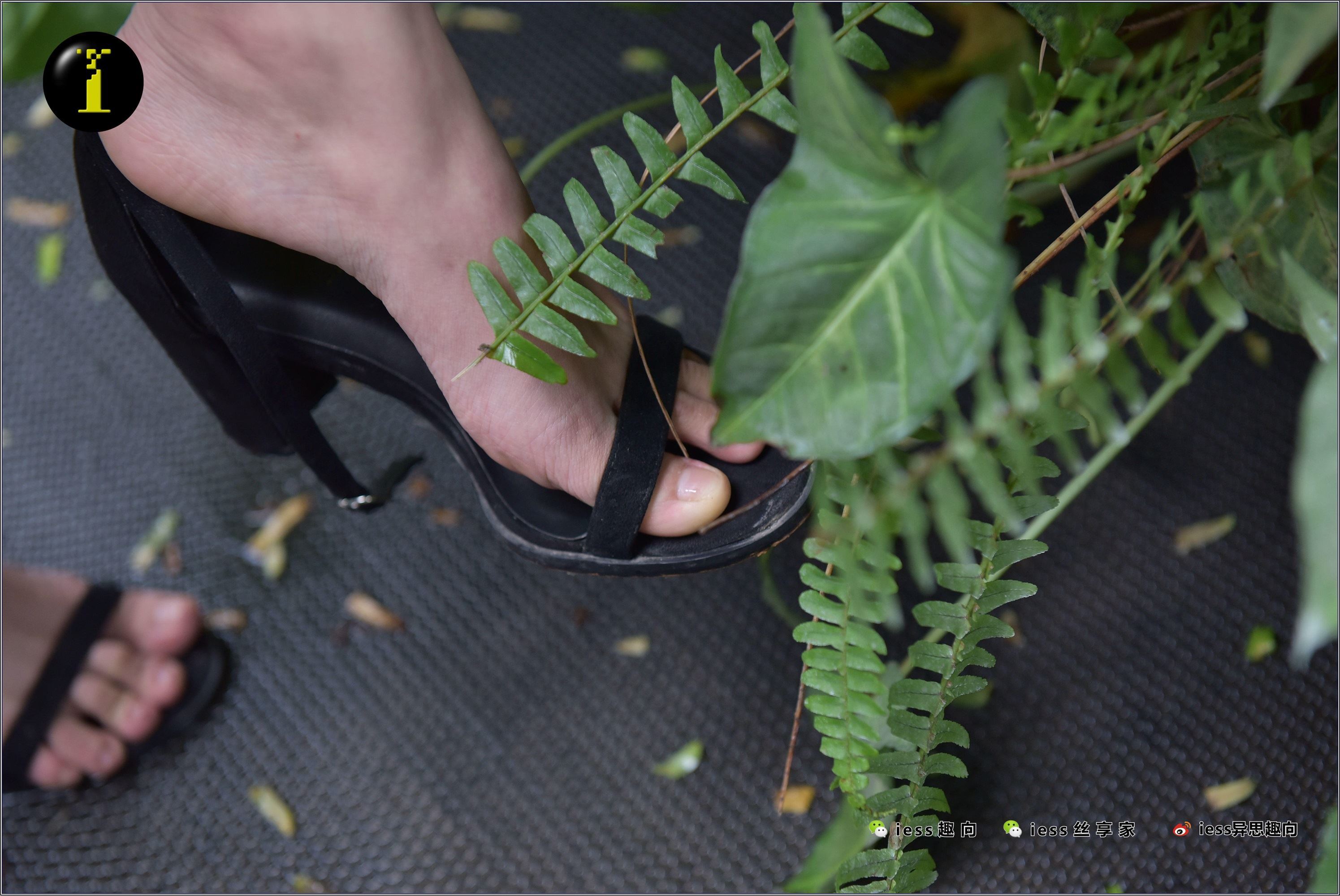 IESS异思趣向  普惠集 003-琪琪的裸足