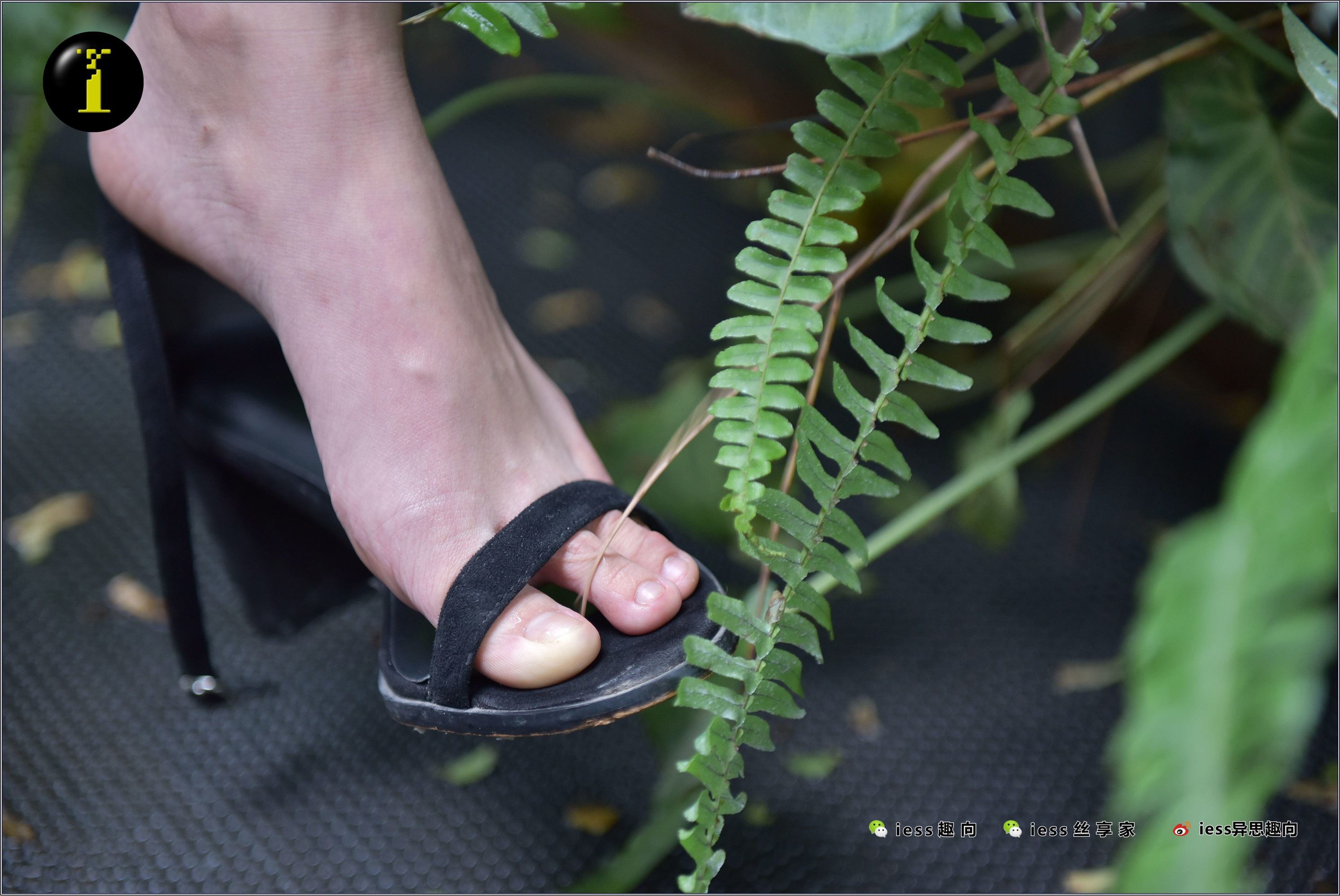 IESS异思趣向  普惠集 003-琪琪的裸足