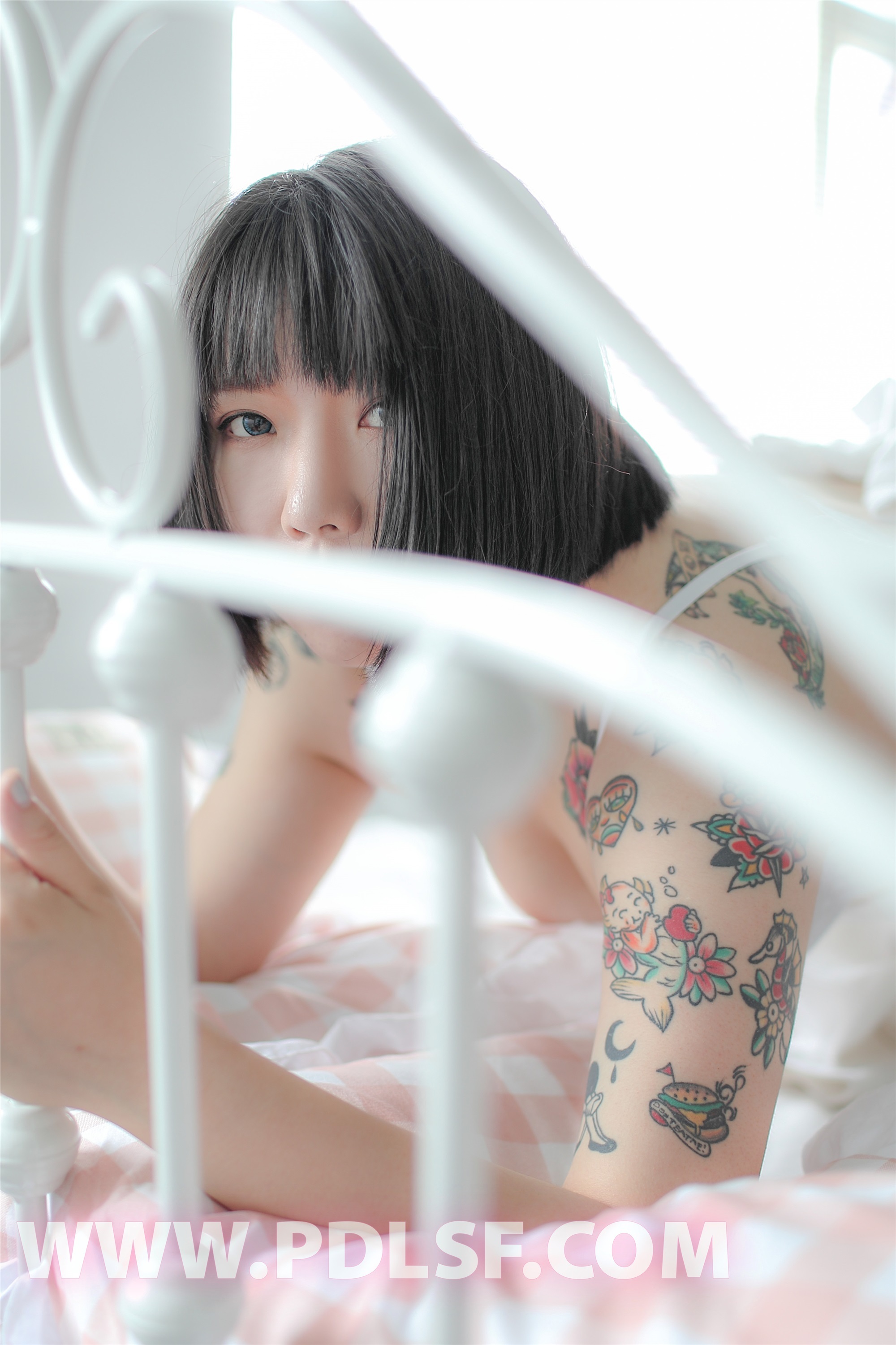 PDL潘多拉  2019.08.13 No.440