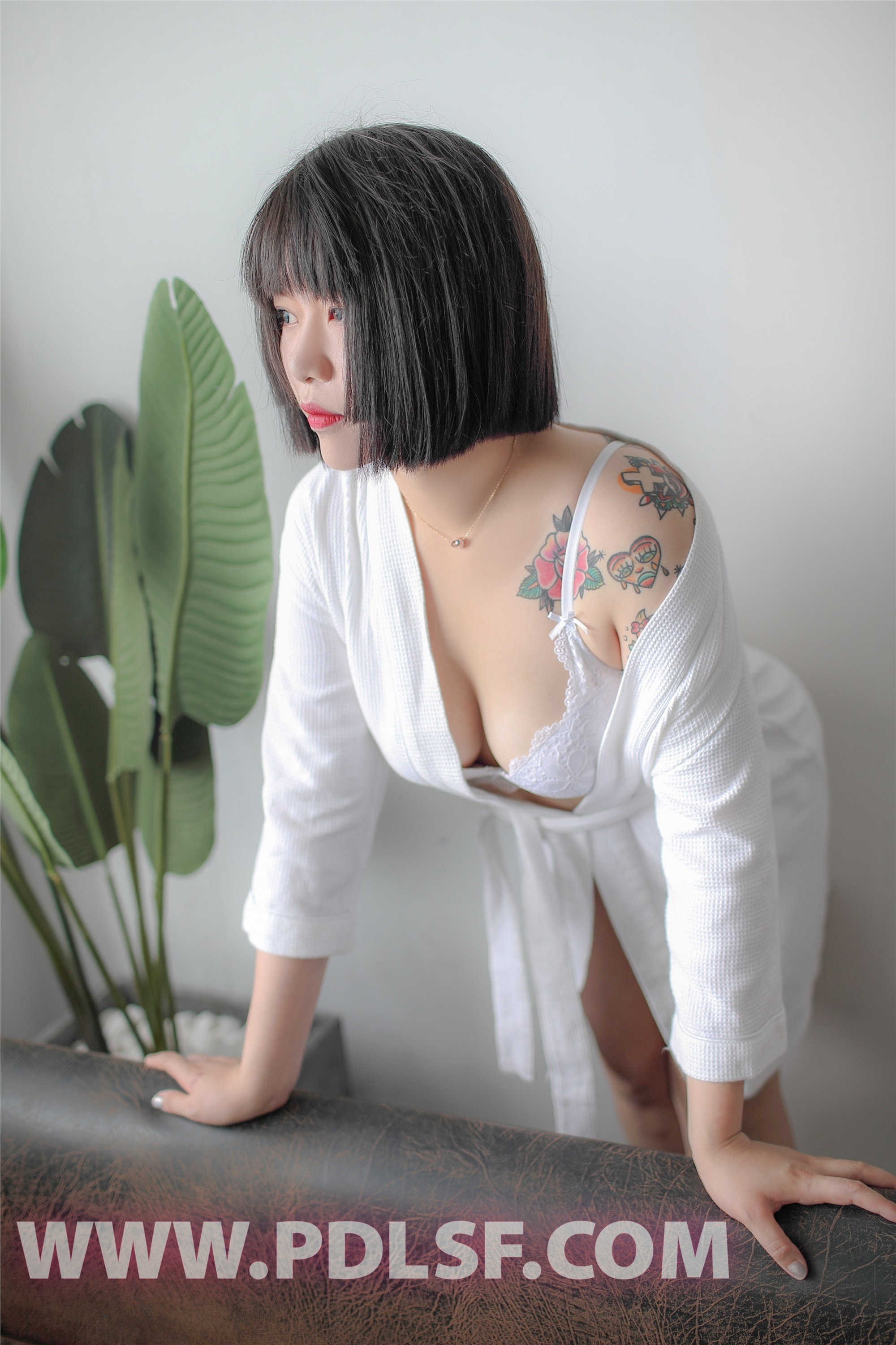 PDL潘多拉  2019.08.13 No.440