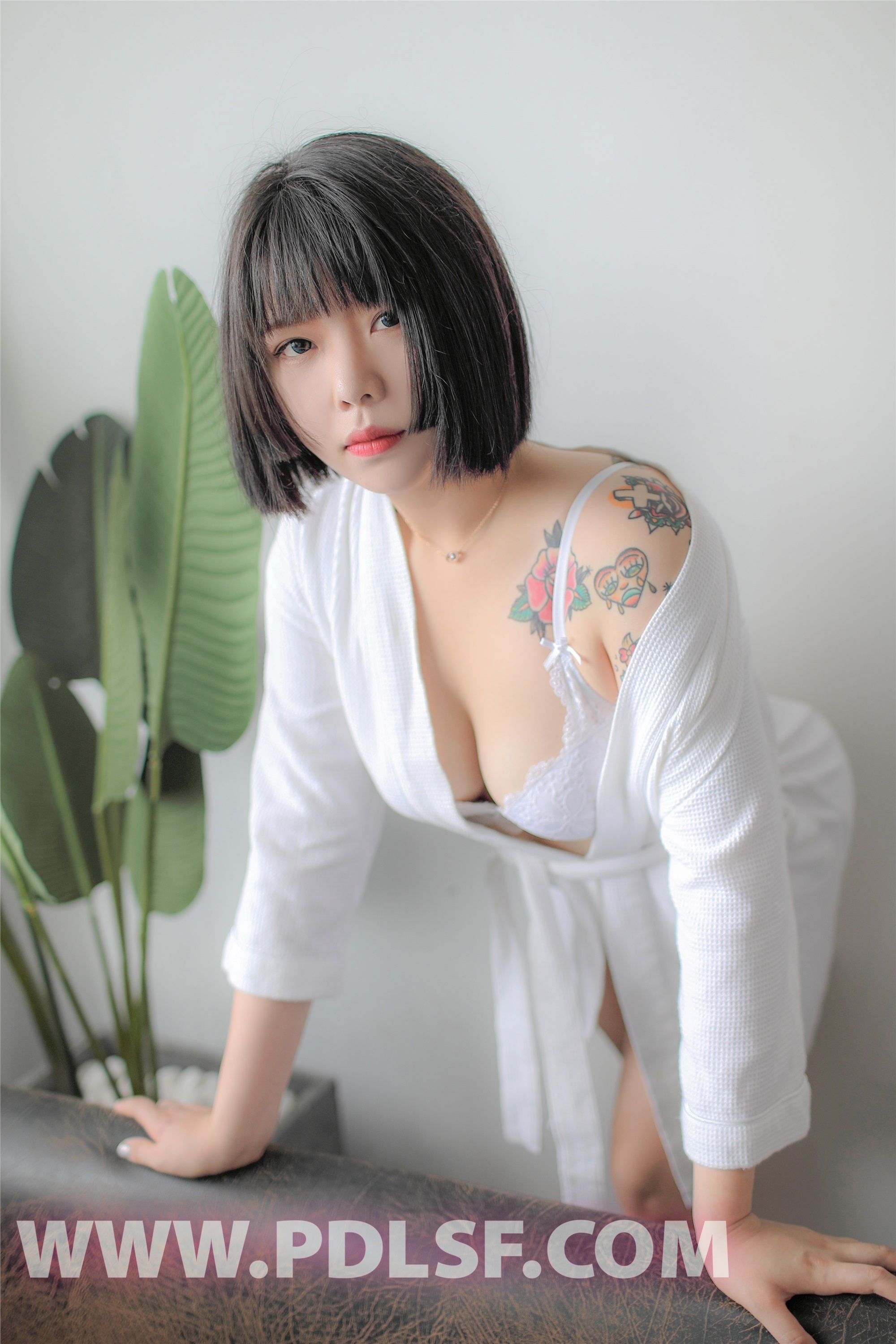 PDL潘多拉  2019.08.13 No.440