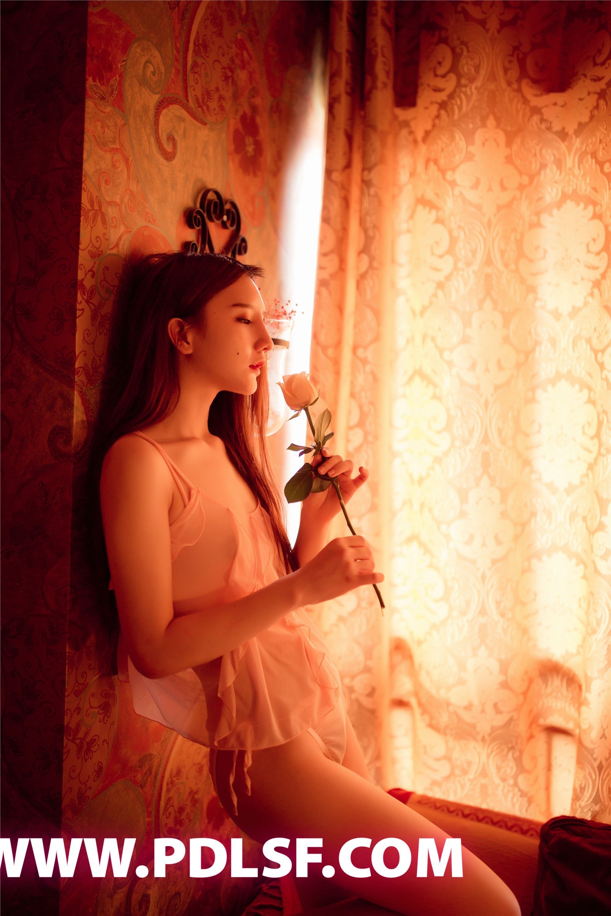 PDL潘多拉  2019.08.18 No.444