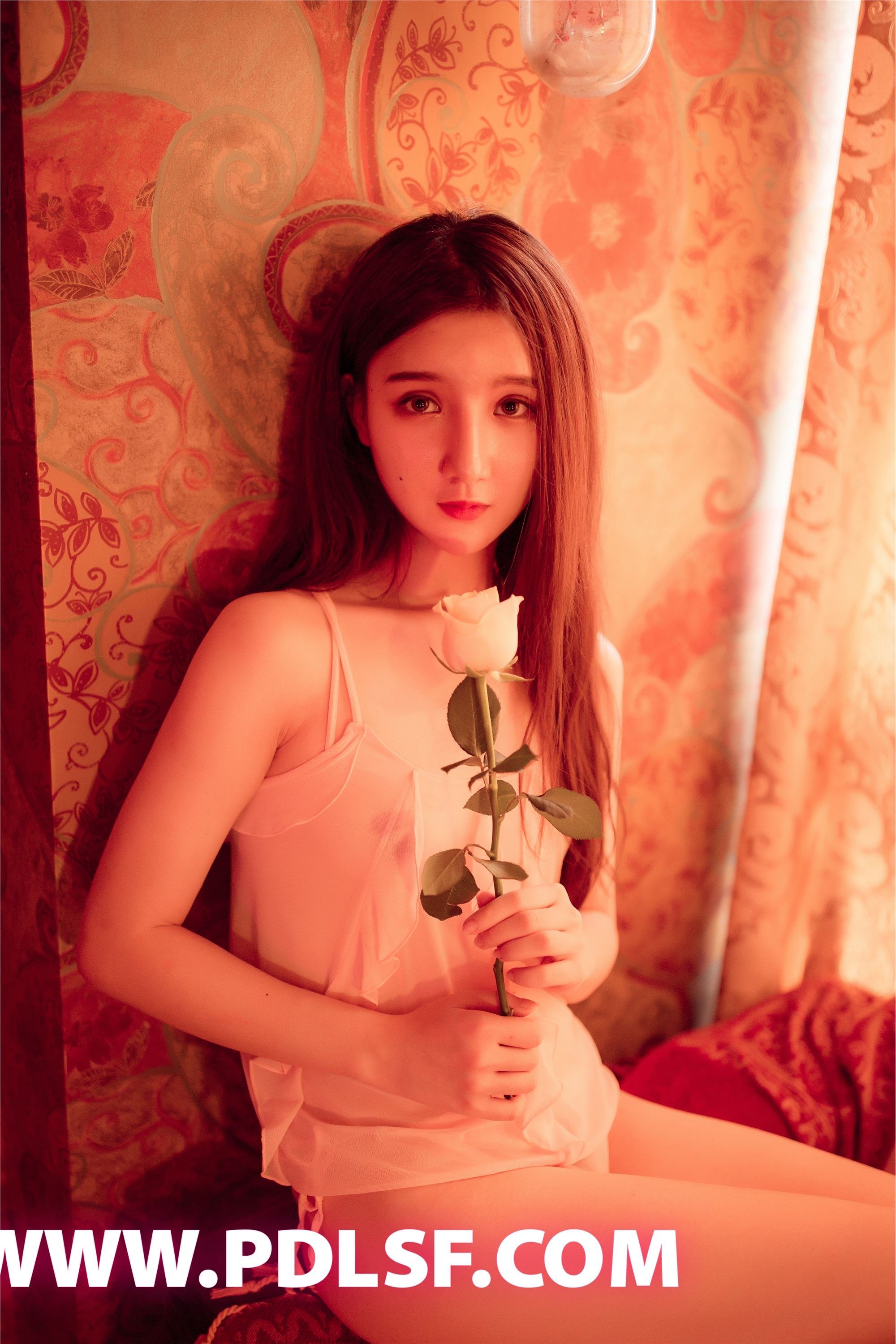 PDL潘多拉  2019.08.18 No.444