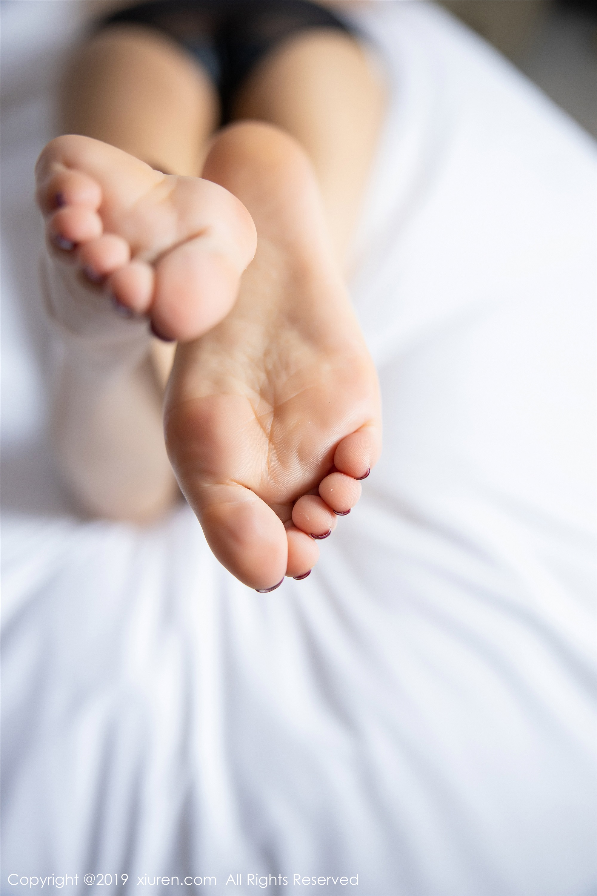 XIUREN秀人网 2019.12.31 No.1895 杨晨晨sugar