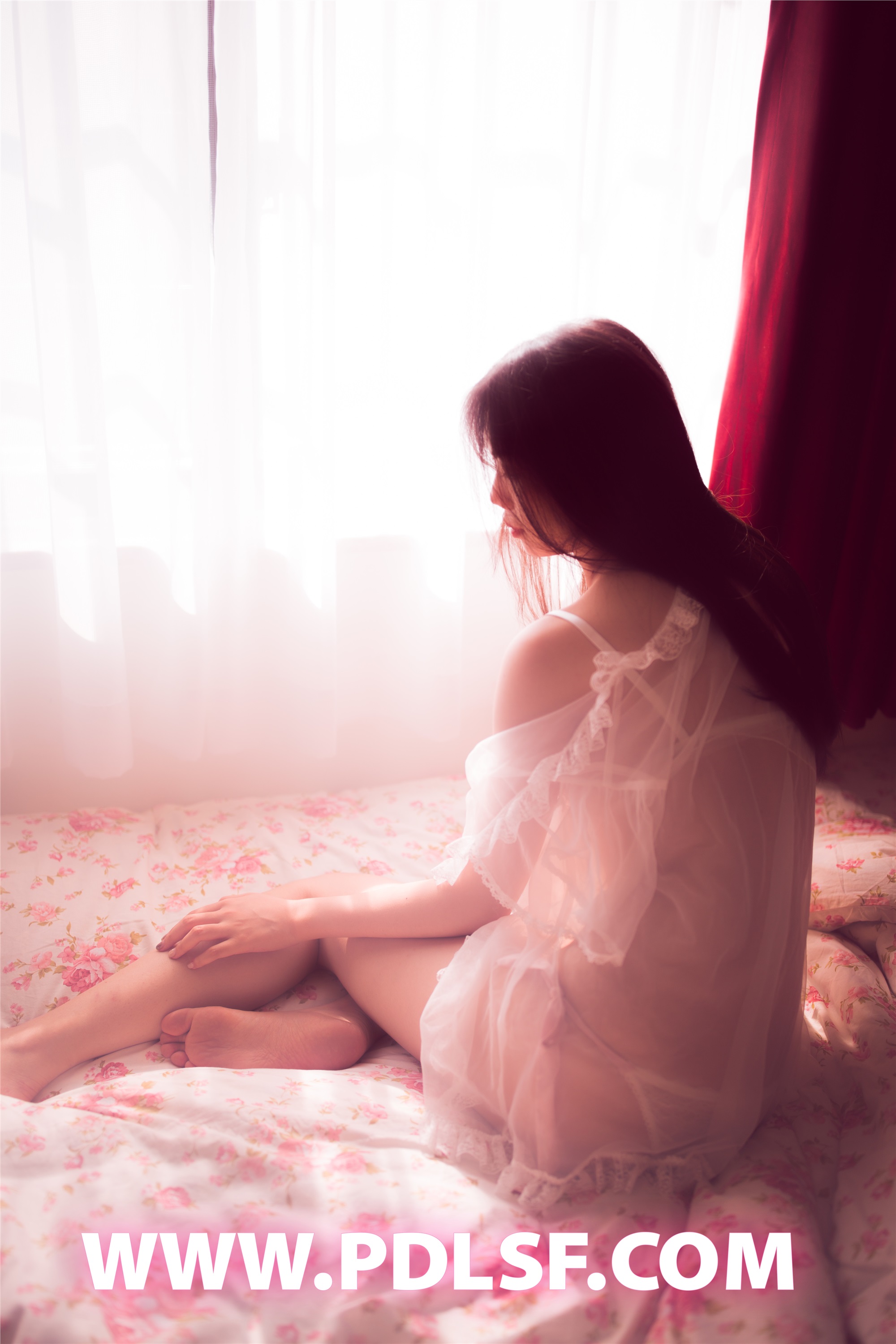 PDL潘多拉  2019.09.05 No.451