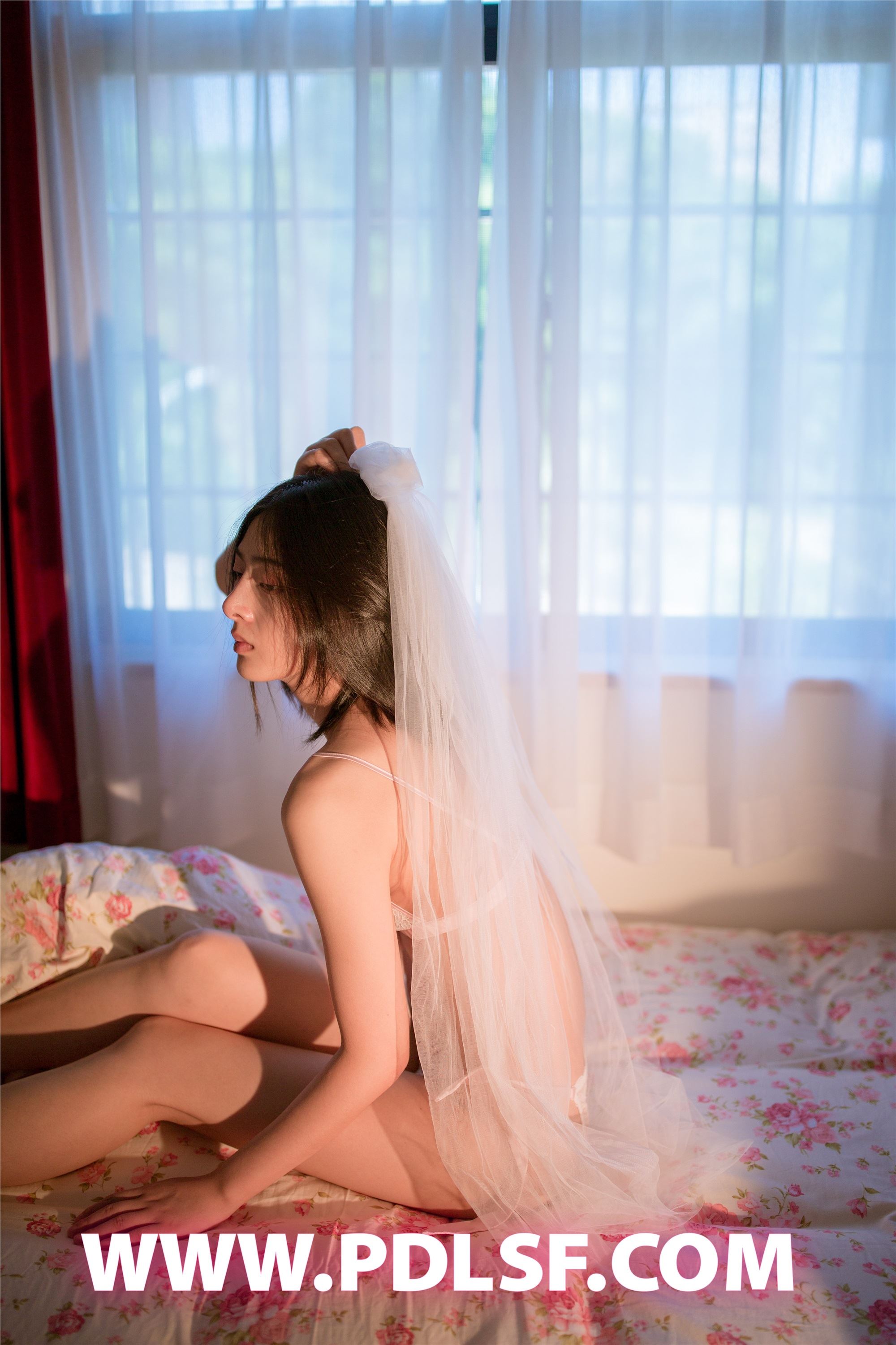 PDL潘多拉  2019.09.06 No.452