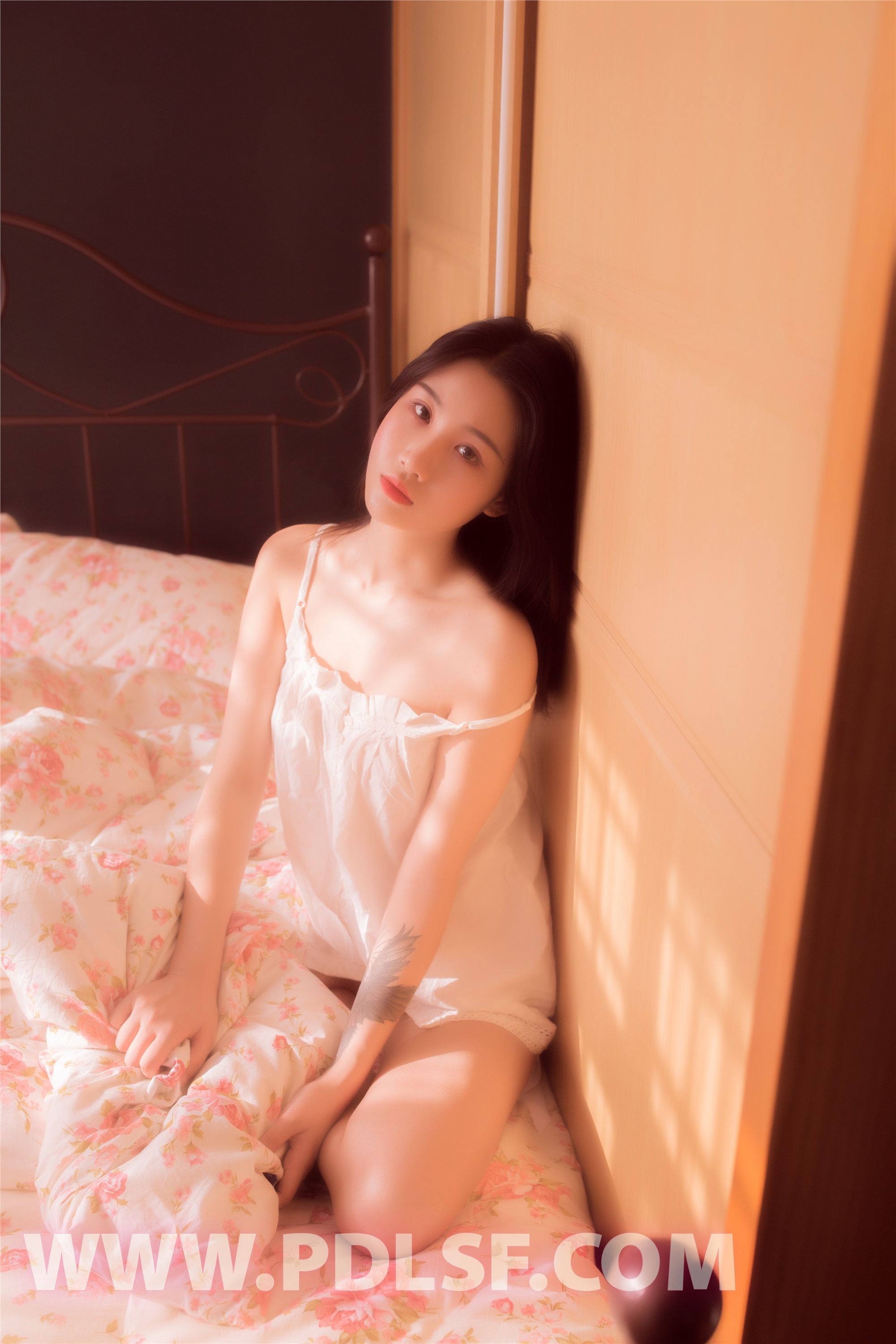 PDL潘多拉  2019.09.13 No.454