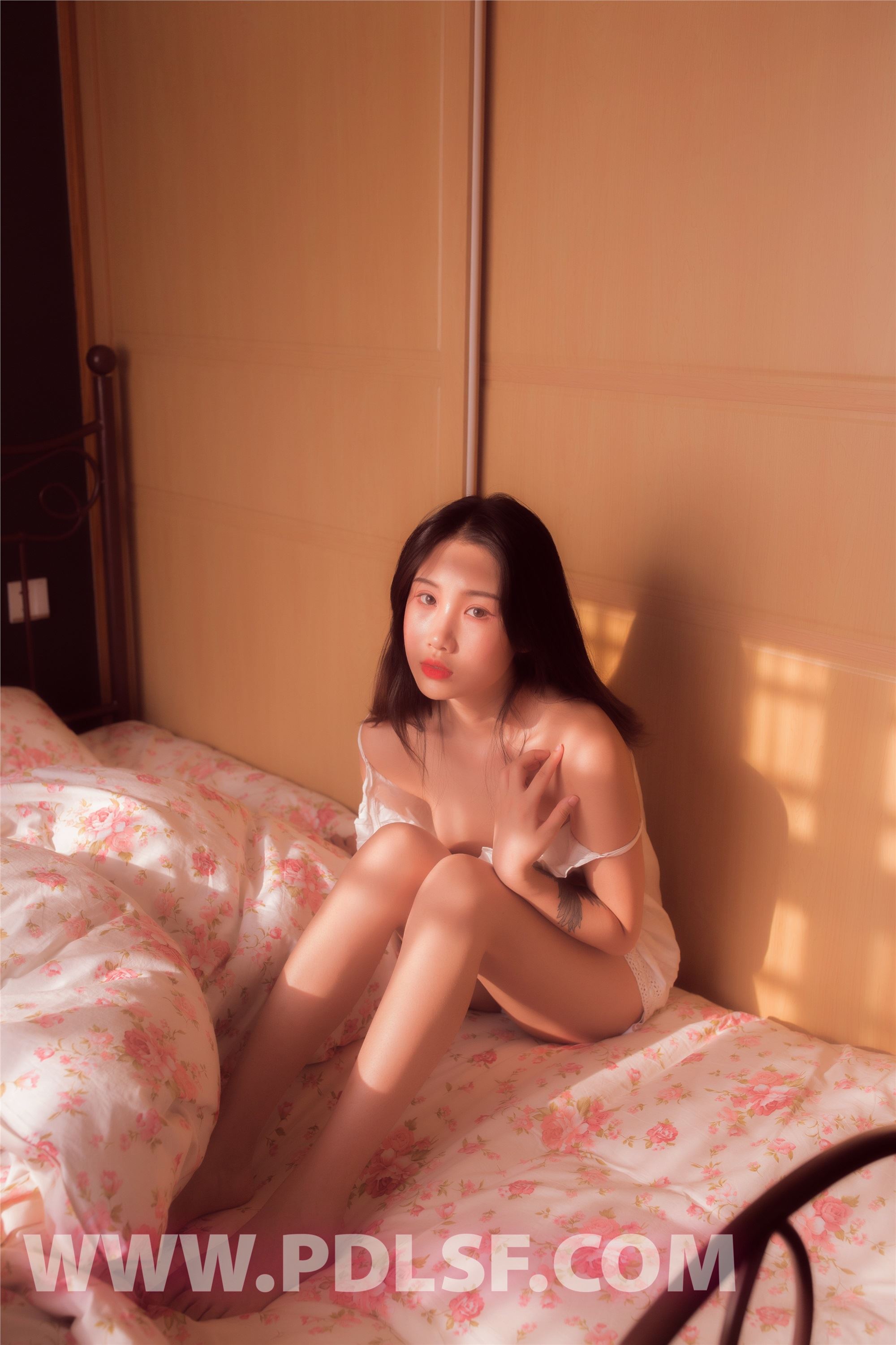 PDL潘多拉  2019.09.13 No.454