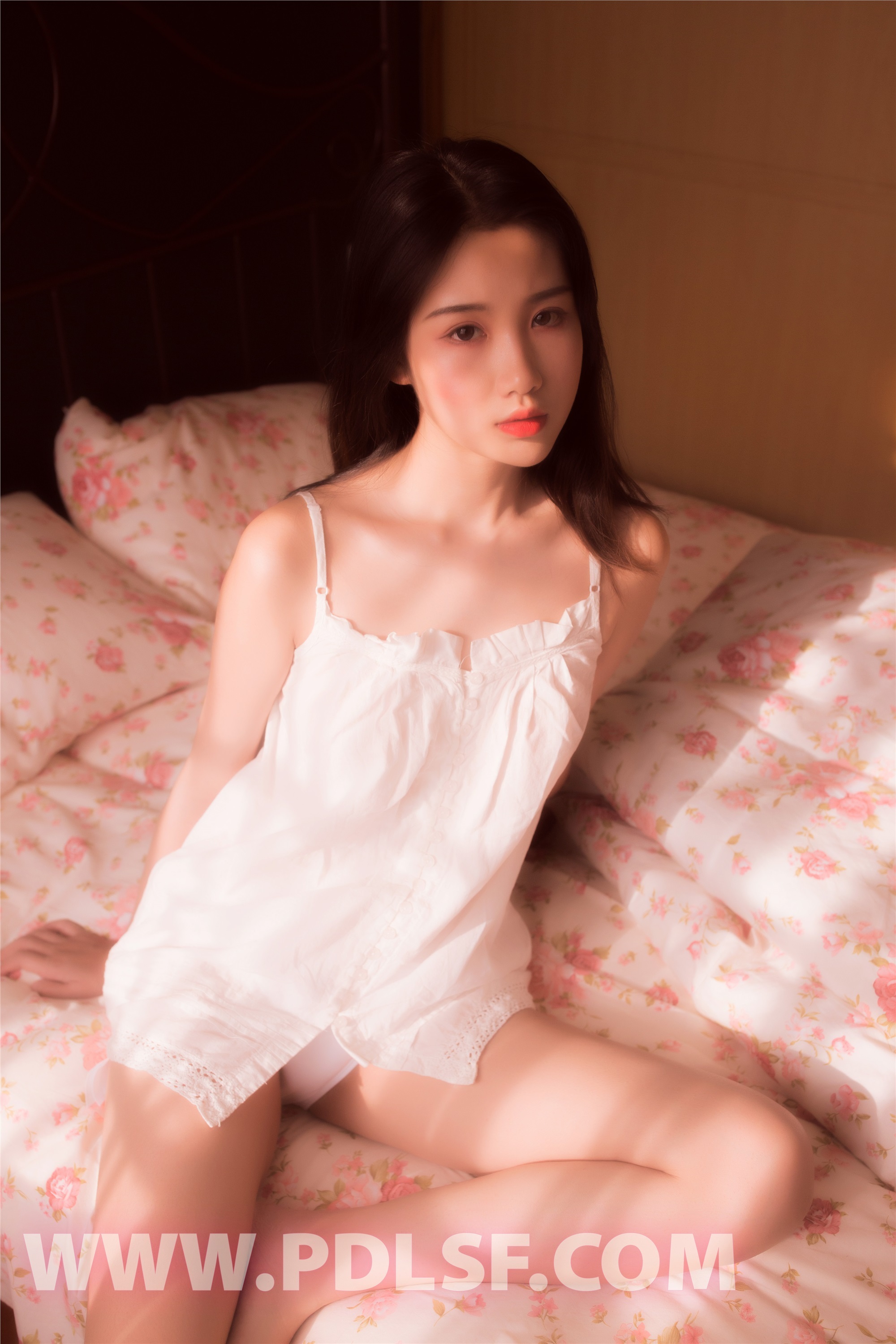 PDL潘多拉  2019.09.13 No.454