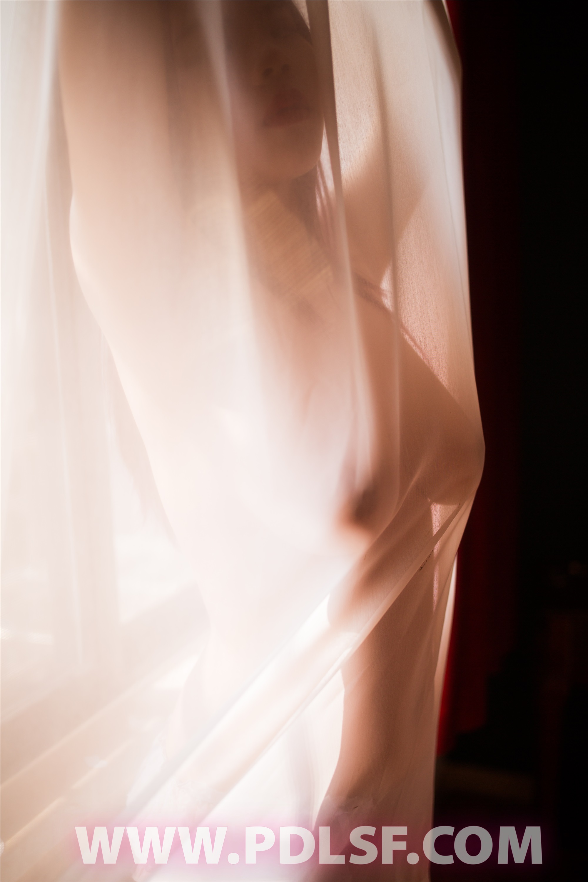 PDL潘多拉  2019.09.22 No.460