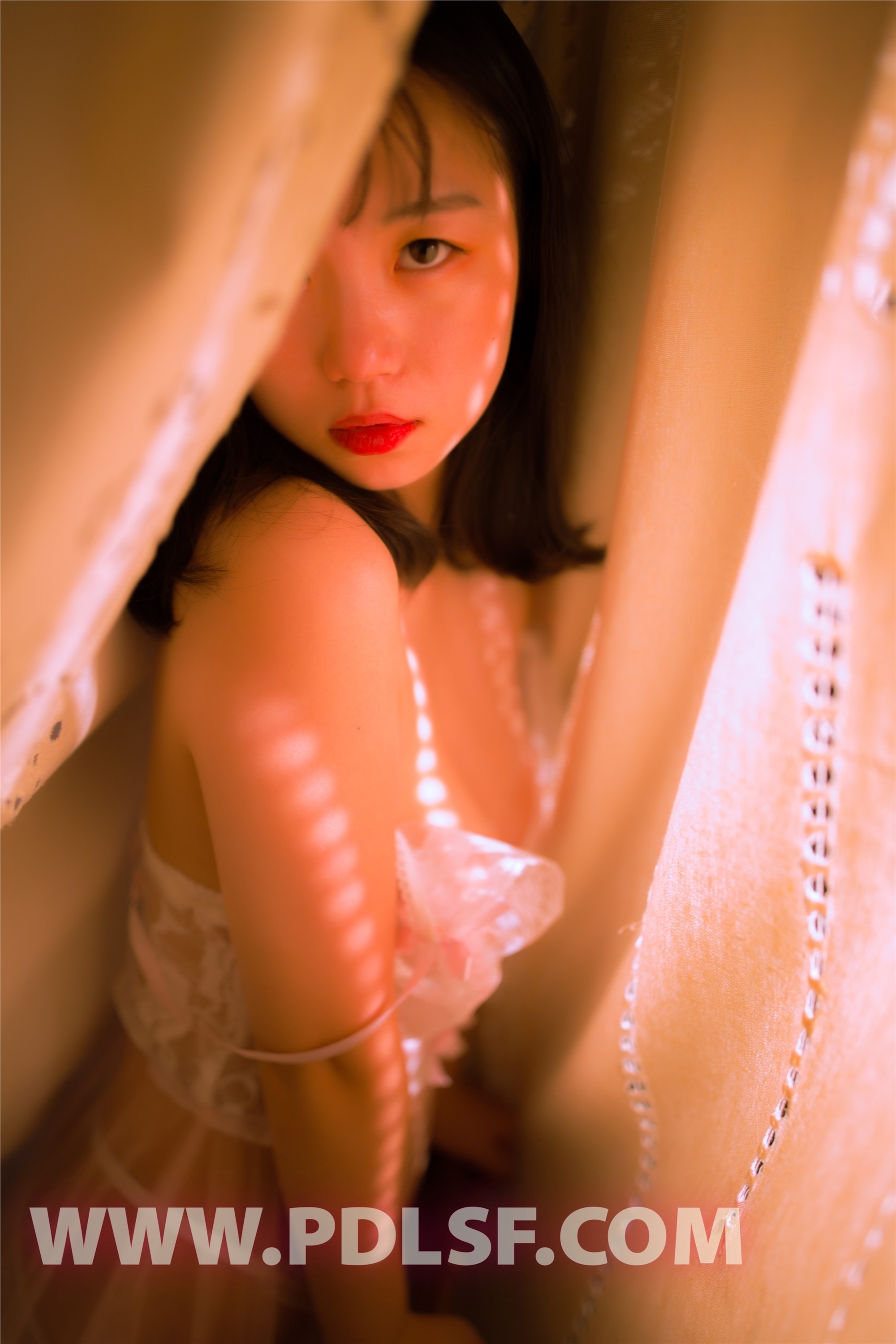 PDL潘多拉  2019.10.03 NO.467