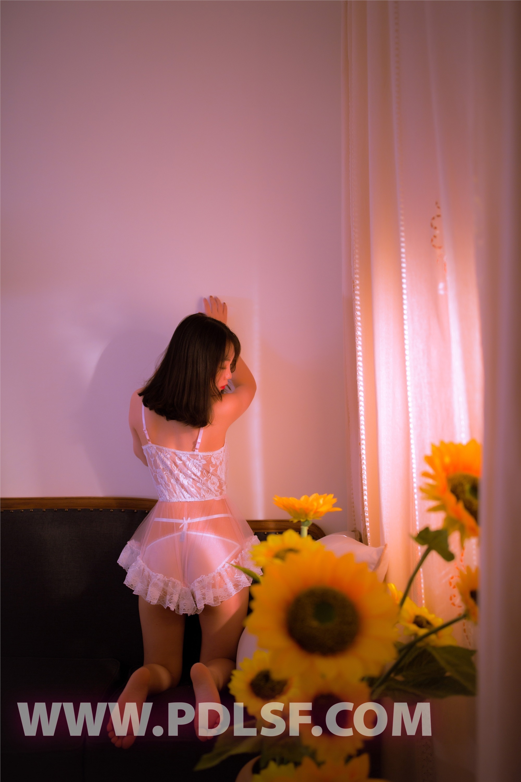 PDL潘多拉  2019.10.03 NO.467