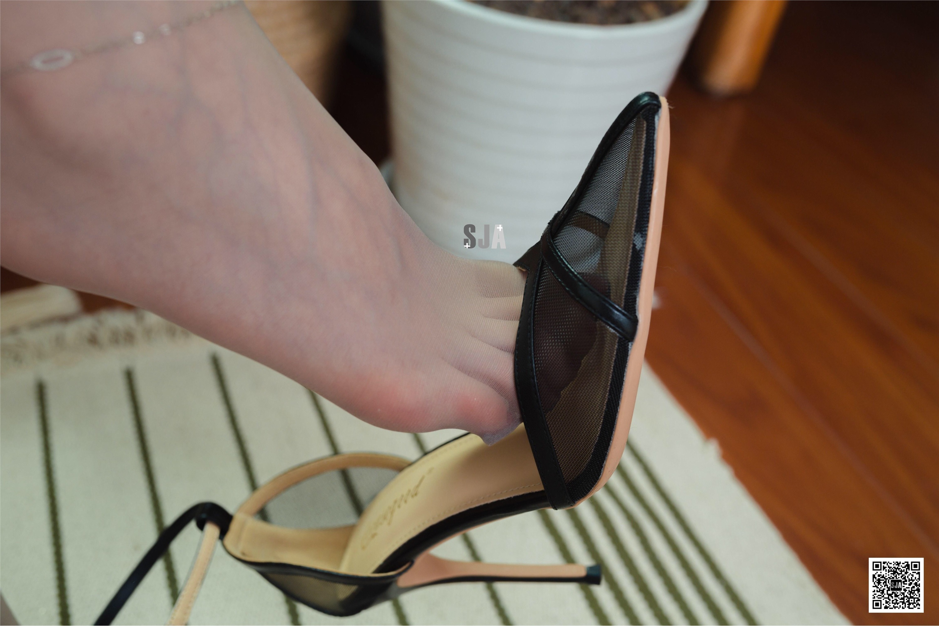 SJA佳爷  闺蜜视角  SJA佳爷 - 《椿》