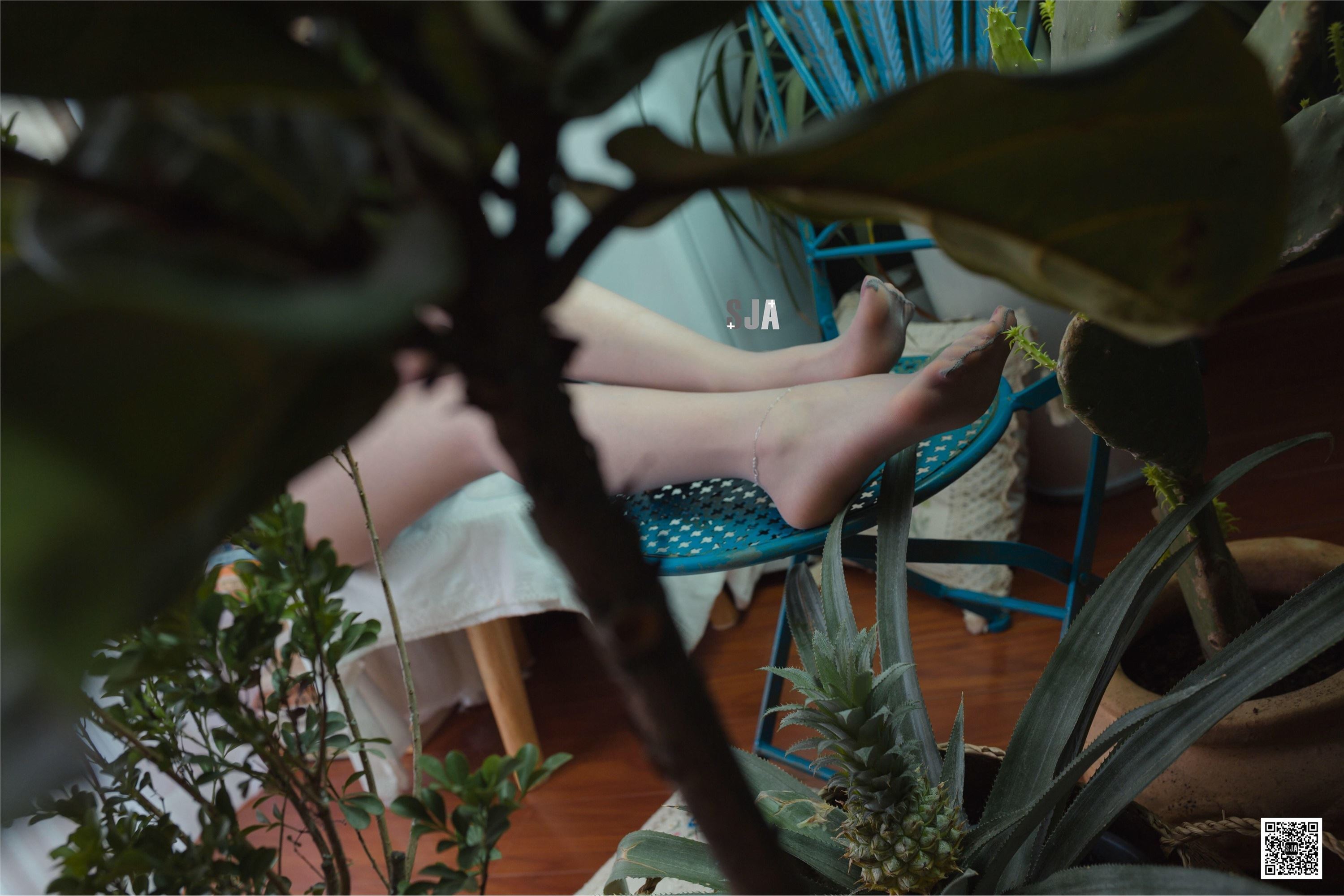 SJA佳爷  闺蜜视角  SJA佳爷 - 《椿》