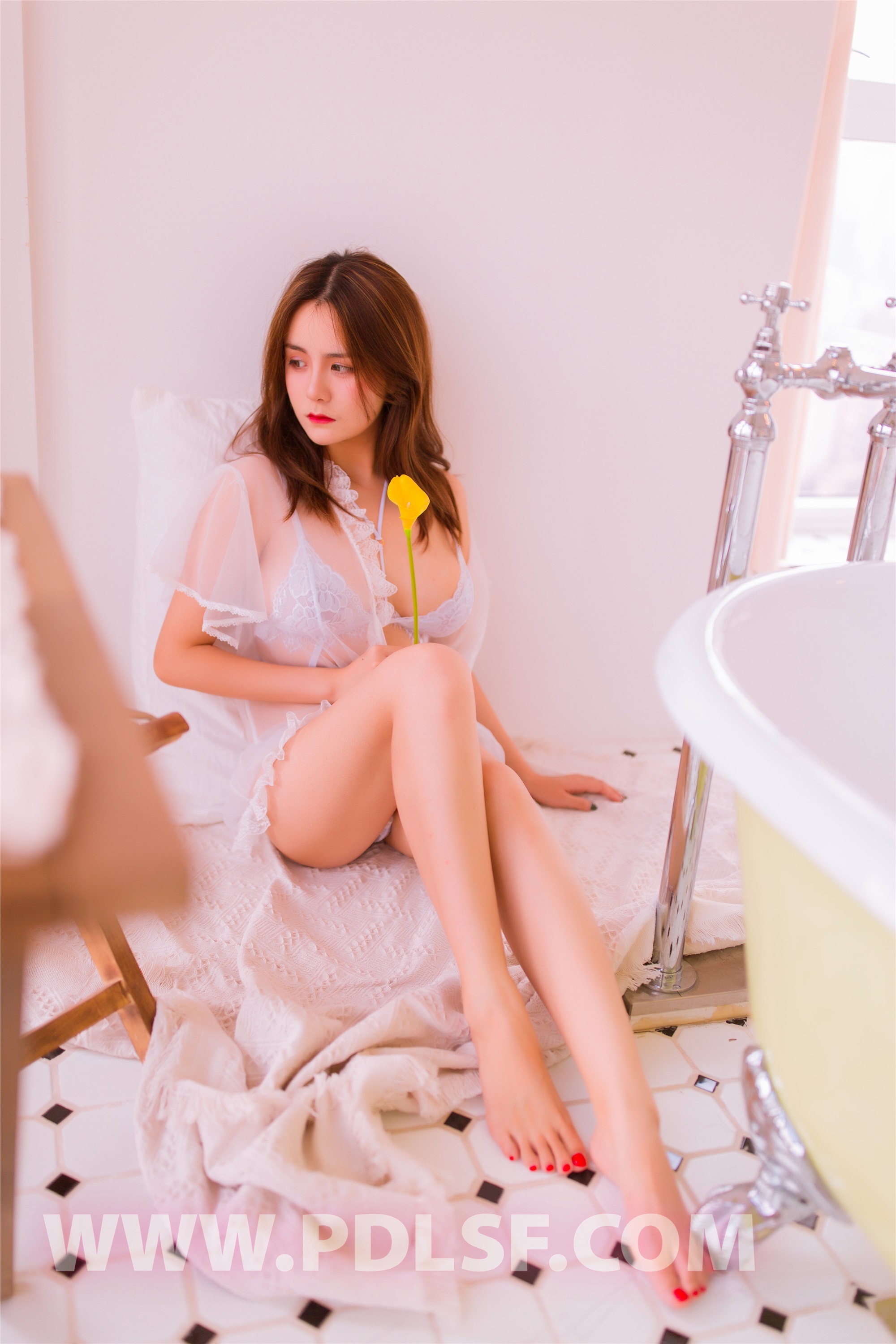 PDL潘多拉  2019.10.06 第四百六十九刊