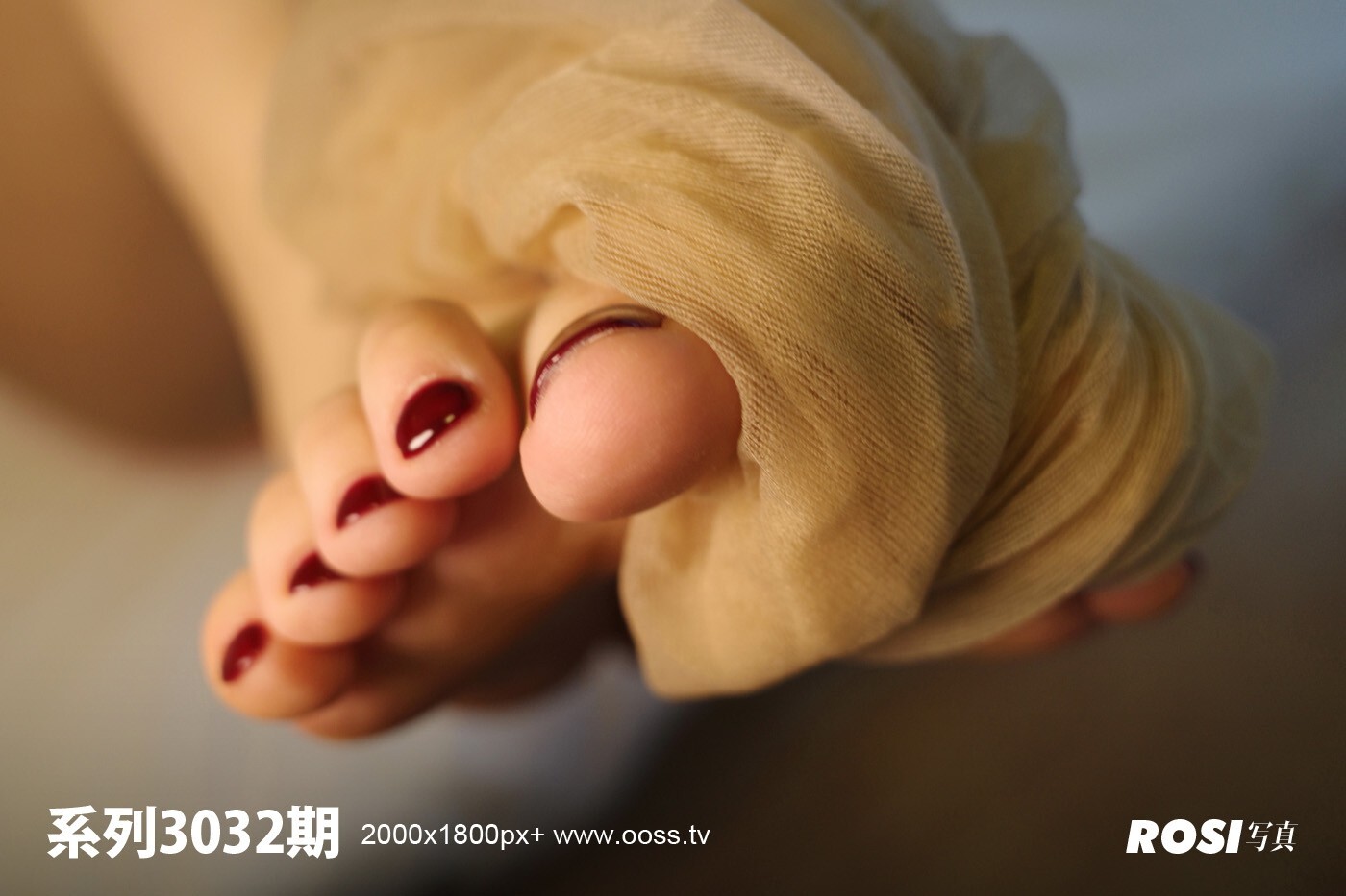 ROSI写真 2020.03.24 NO.3032