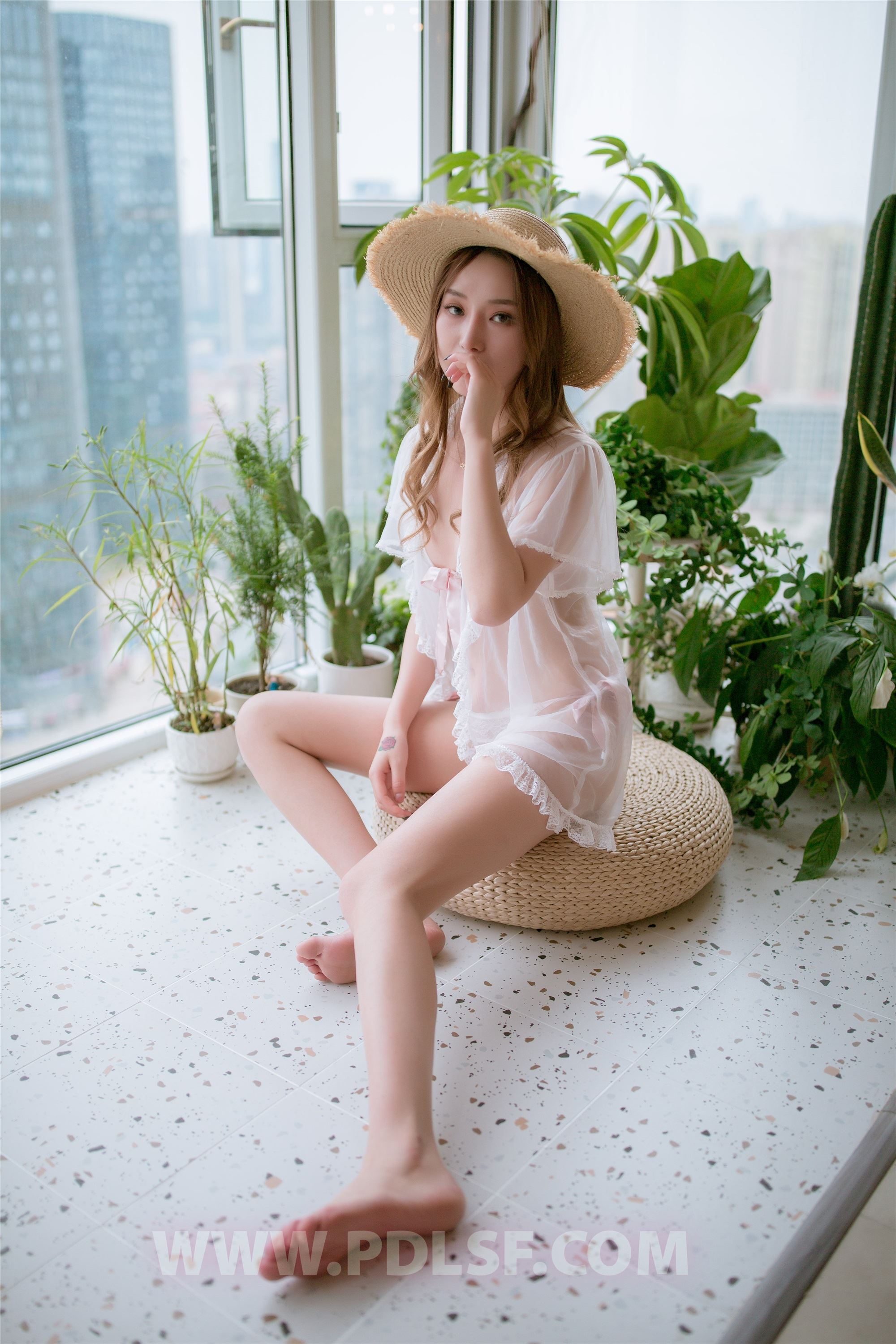 PDL潘多拉  2019.11.17 第487刊