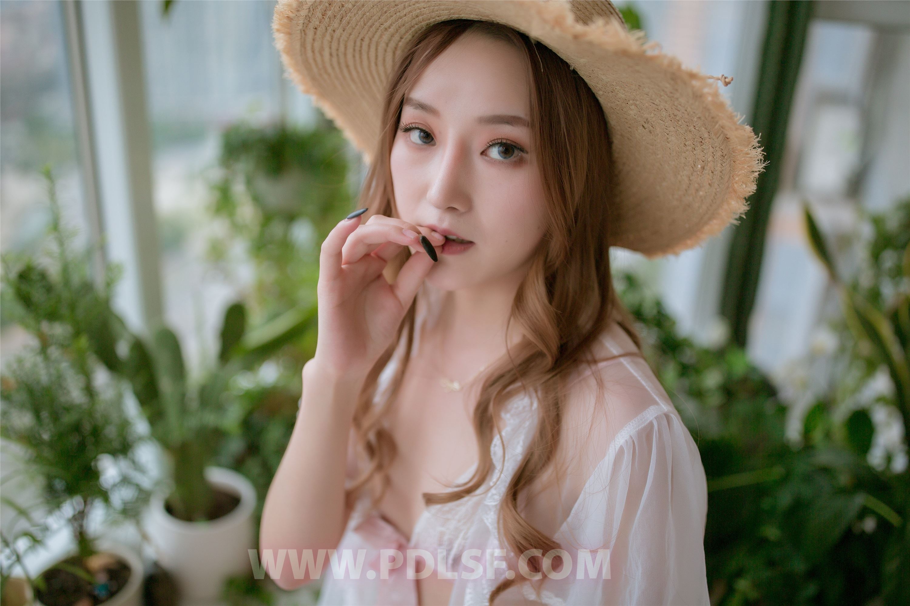 PDL潘多拉  2019.11.17 第487刊