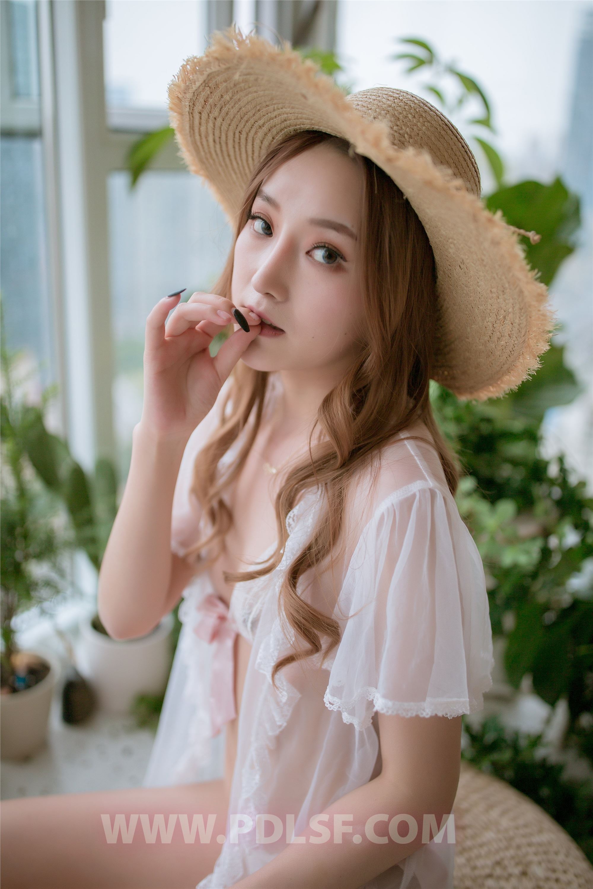 PDL潘多拉  2019.11.17 第487刊